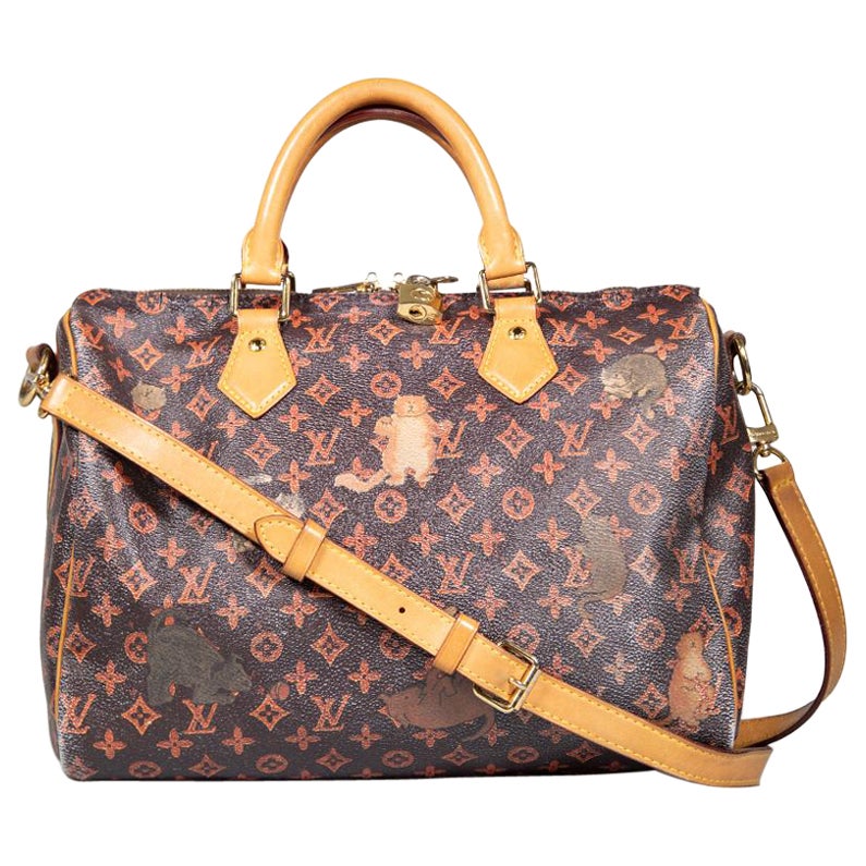 Louis Vuitton X Grace Coddington 2018 Brown Monogram Cat Print Speedy