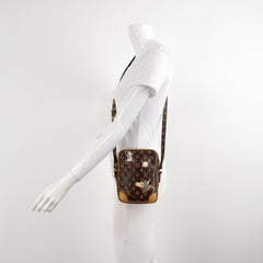 Louis Vuitton x Grace Coddington Catogram Brown Camera Bags