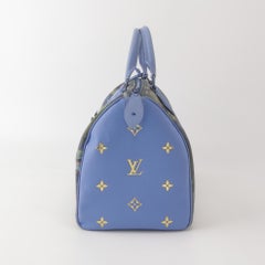 Louis Vuitton x Jeff Koons Speedy 30 Monet Water Lilies Top Handle Bag
