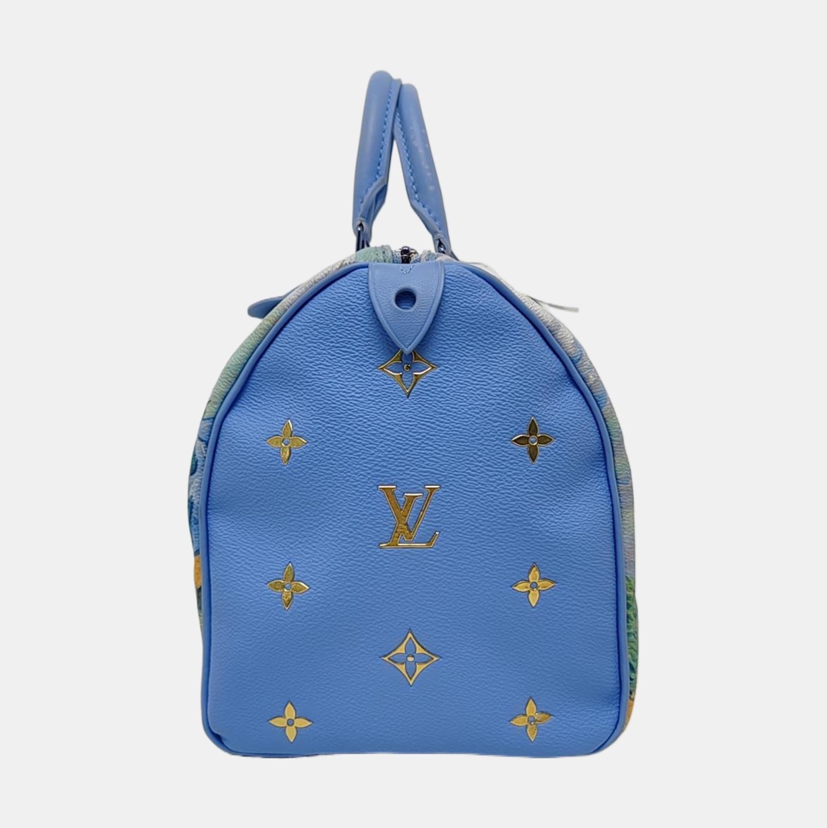 Gris Louis Vuitton x Jeff Koons Speedy 30 Van Gogh Top Handle Bag 2017 en vente