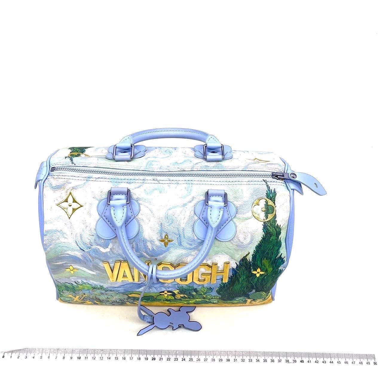 Women's Louis Vuitton x Jeff Koons Speedy 30 Van Gogh Top Handle Bag 2017 For Sale