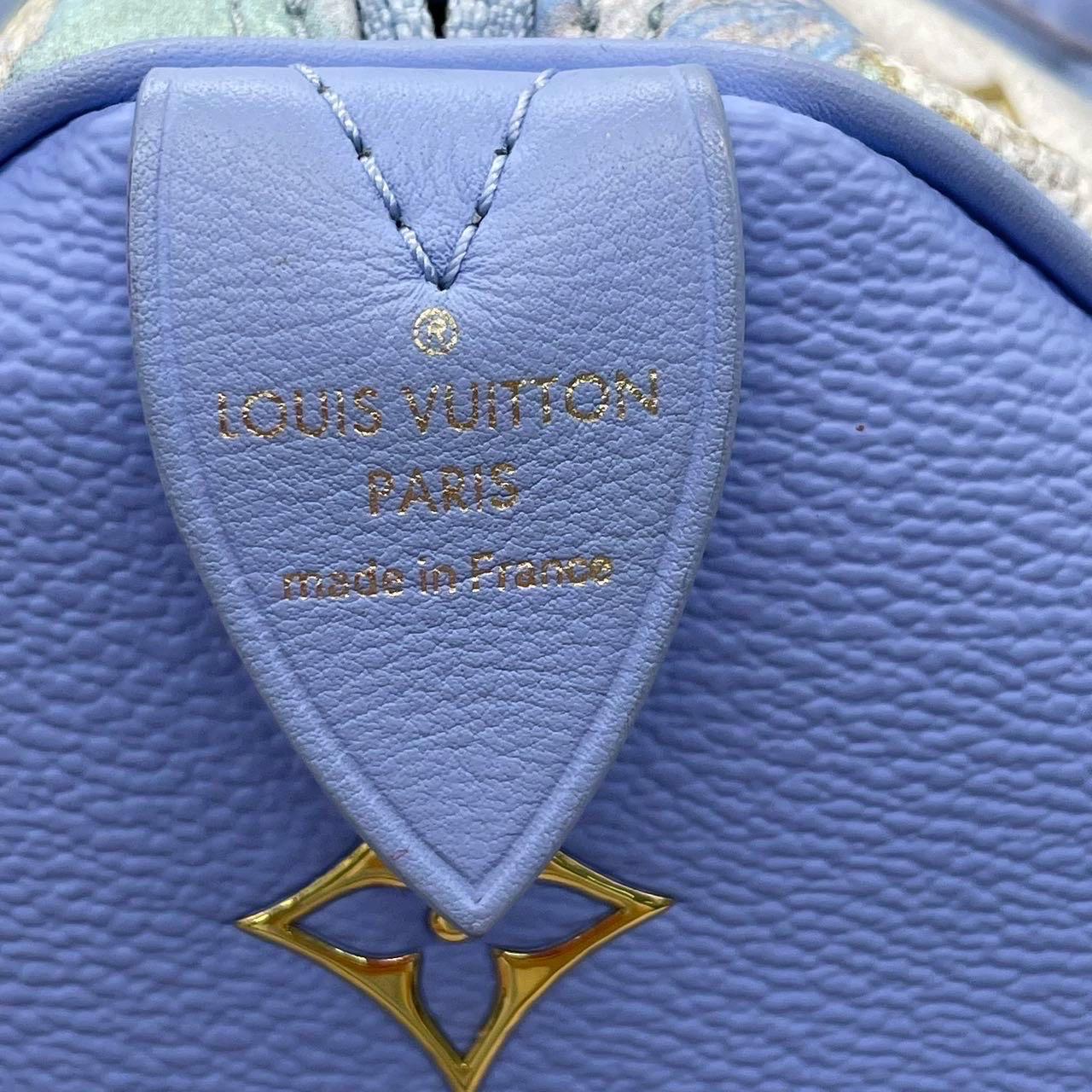 Louis Vuitton x Jeff Koons Speedy 30 Van Gogh Top Handle Bag 2017 For Sale 1