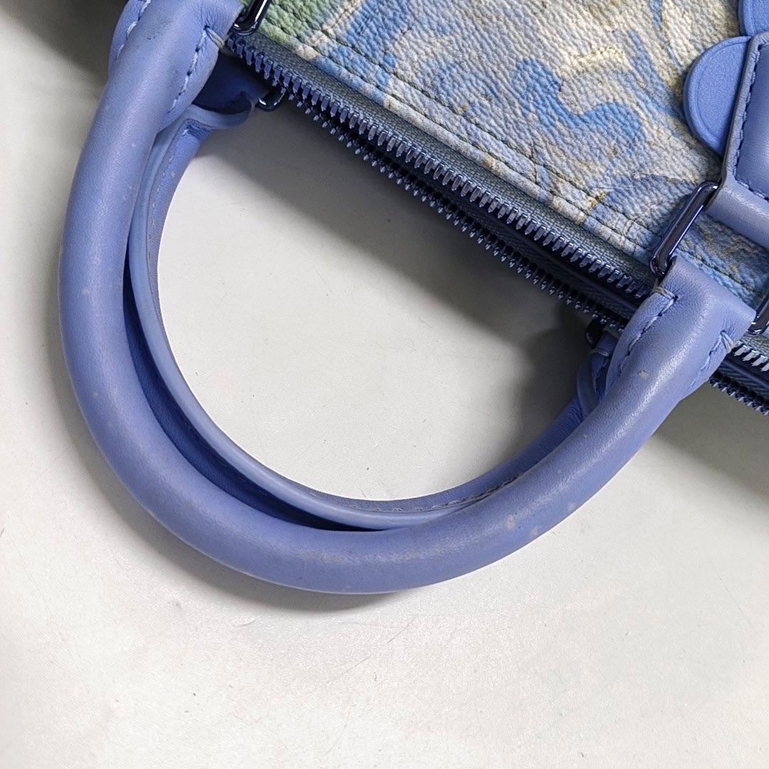 Louis Vuitton x Jeff Koons Speedy 30 Van Gogh Top Handle Bag 2017 en vente 3