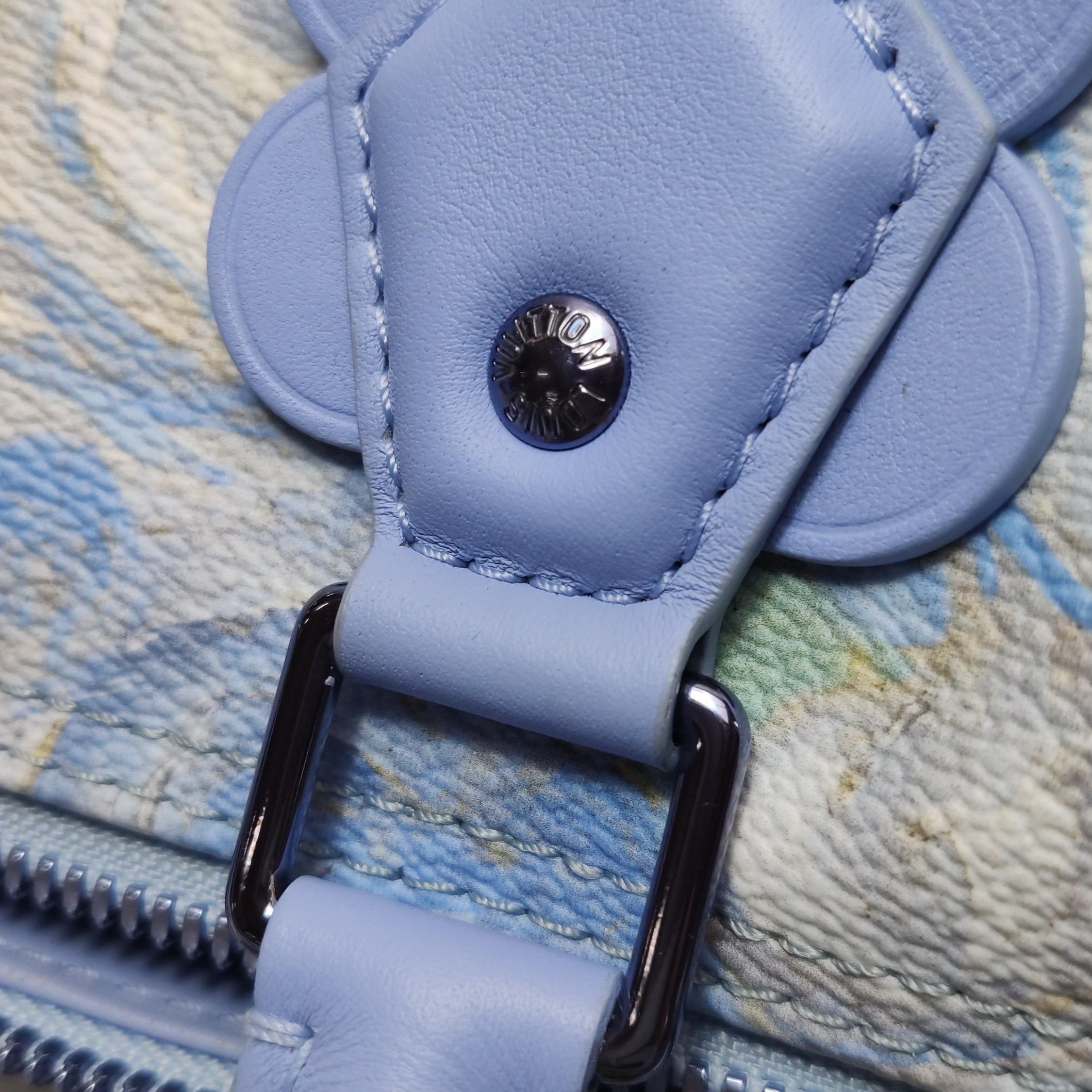 Louis Vuitton x Jeff Koons Speedy 30 Van Gogh Top Handle Bag mit Griff oben im Angebot 11