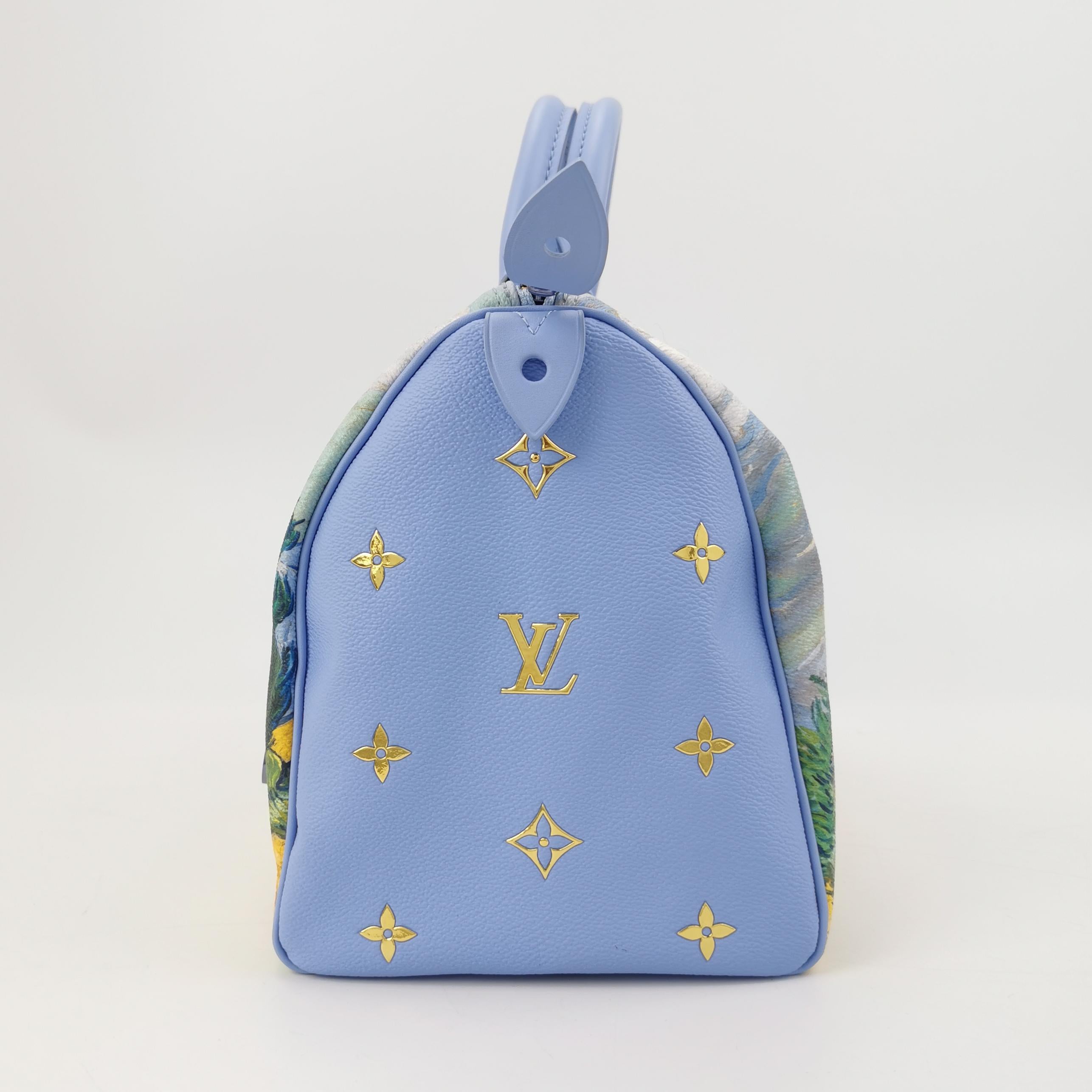 Louis Vuitton x Jeff Koons Speedy 30 Van Gogh Top Handle Bag mit Griff oben (Grau) im Angebot