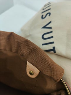 Louis Vuitton x Murakami cherry blossom monogram Speedy