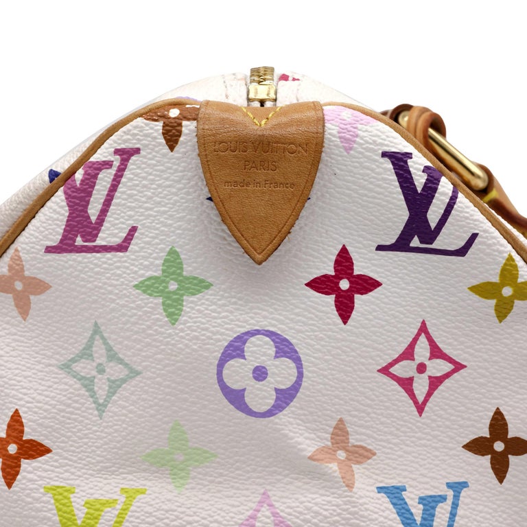 Louis Vuitton Speedy 30 Murakami Multiple colors Monogram Bag, 2003 For  Sale at 1stDibs