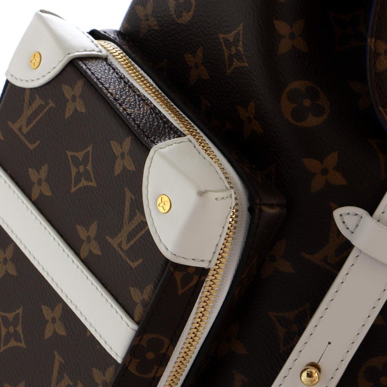 Louis Vuitton: Louis Vuitton Essentials: Christopher & Soft Trunk