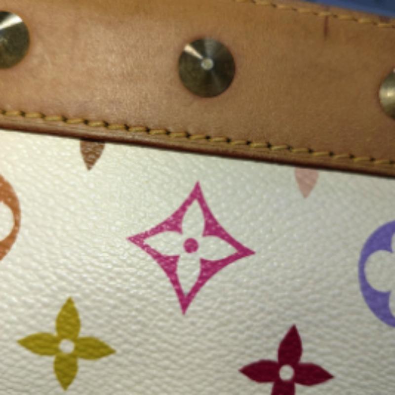 Louis Vuitton x Takashi Murakami Alma Small White Multicolor 11
