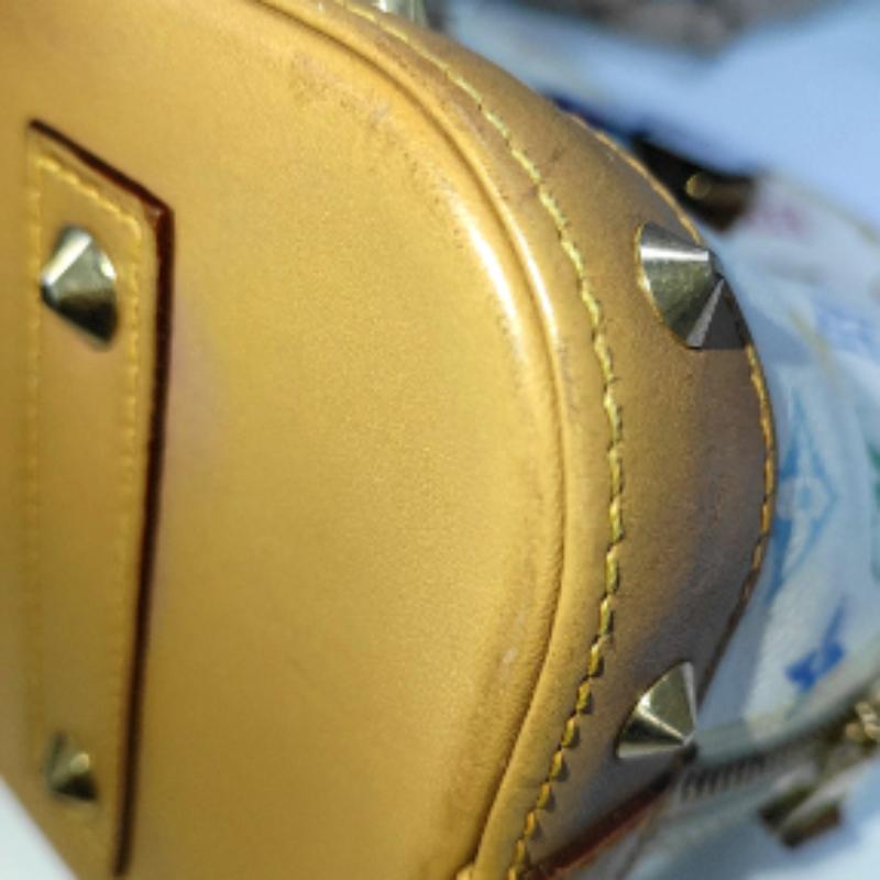 Louis Vuitton x Takashi Murakami Alma Small White Multicolor 13
