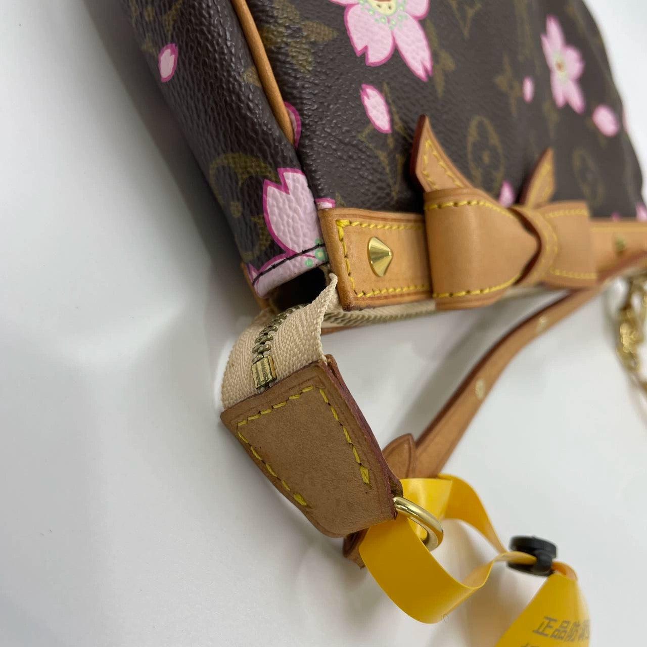 Louis Vuitton x Takashi Murakami Cherry Blossom Pochette Accessoire 10