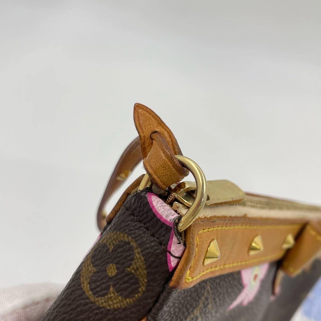 Louis Vuitton x Takashi Murakami Cherry Blossom Pochette Accessoires For Sale 7