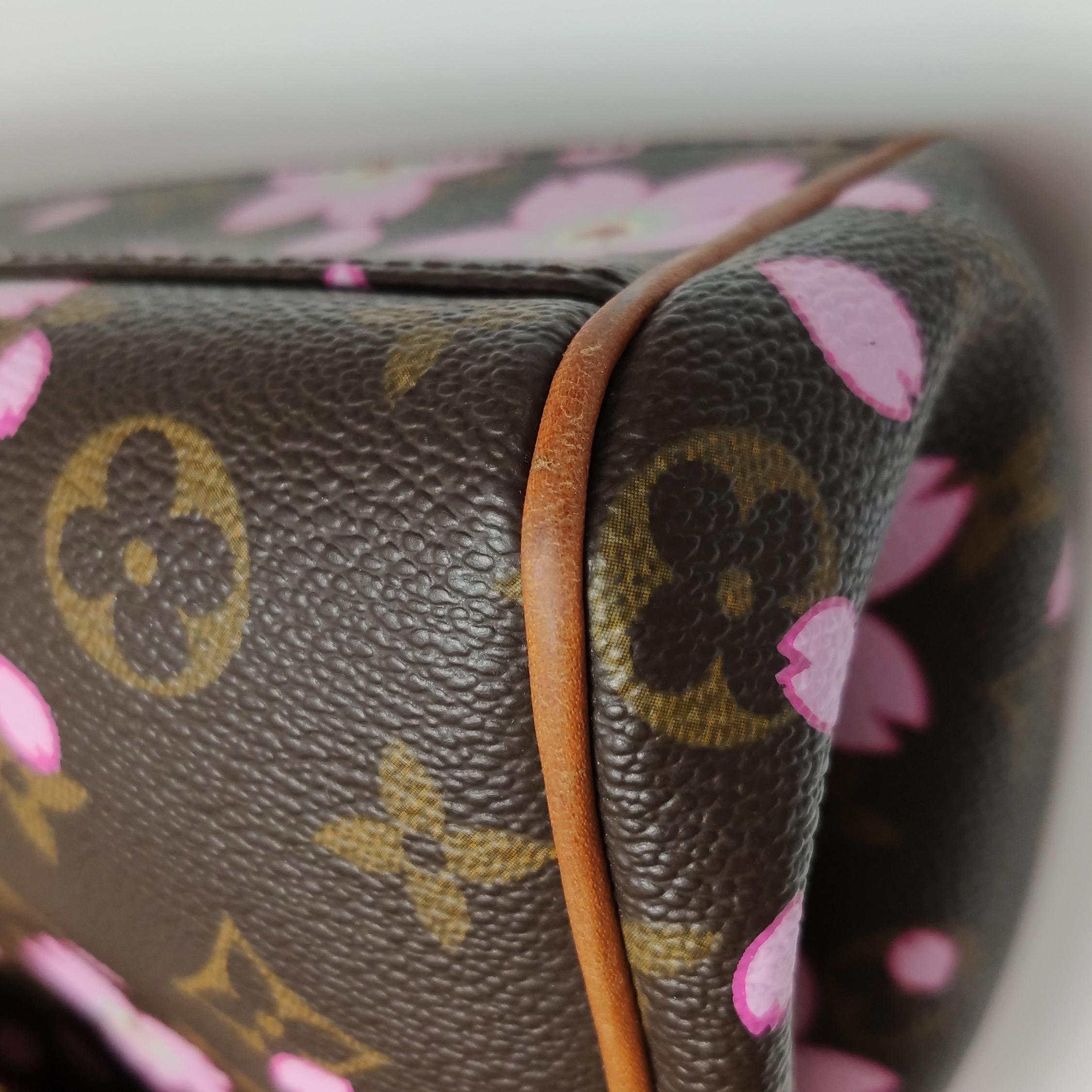 Louis Vuitton x Takashi Murakami Cherry Blossom Sac Retro Top Handle Baga 9
