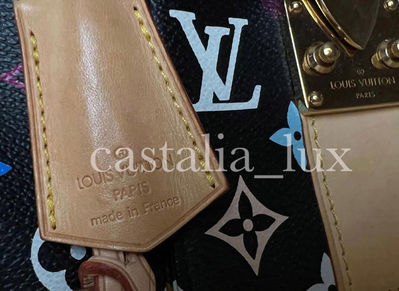 Louis Vuitton x Takashi Murakami Collectors Speedy 30 For Sale 3