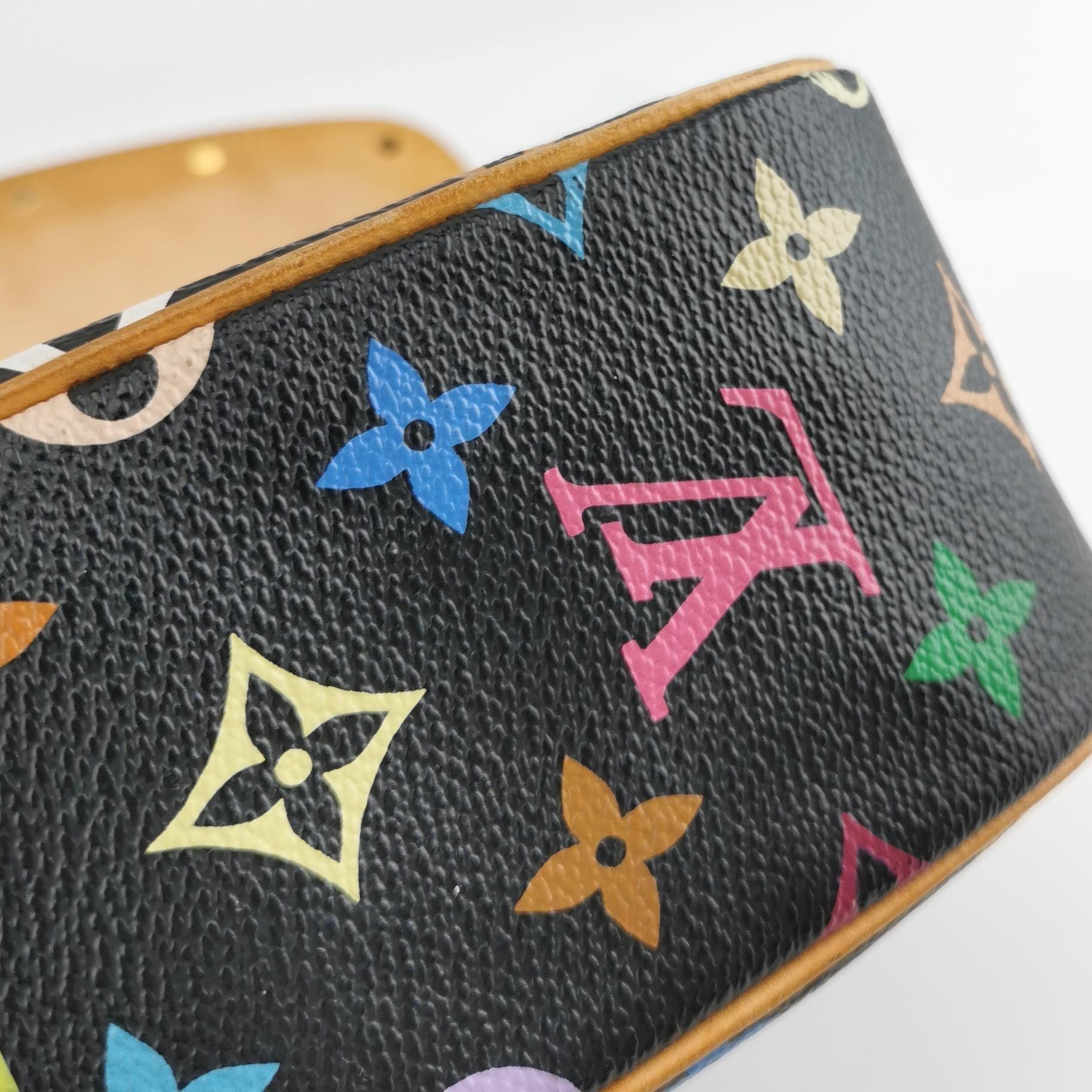 Louis Vuitton x Takashi Murakami Sologne Messenger Crossbody Bag Multicolor 7