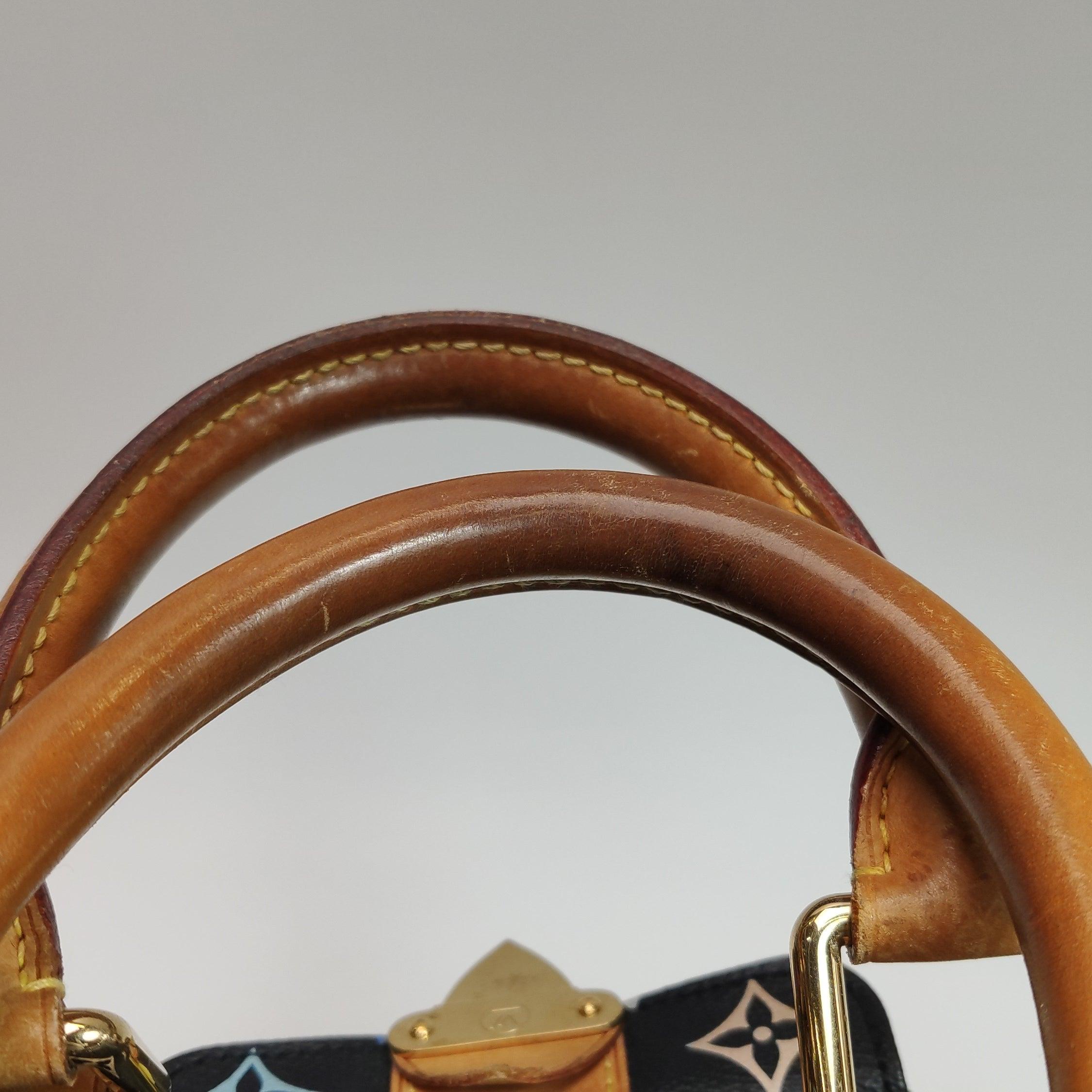 Louis Vuitton x Takashi Murakami Speedy 30 Lock Black Multicolor 8
