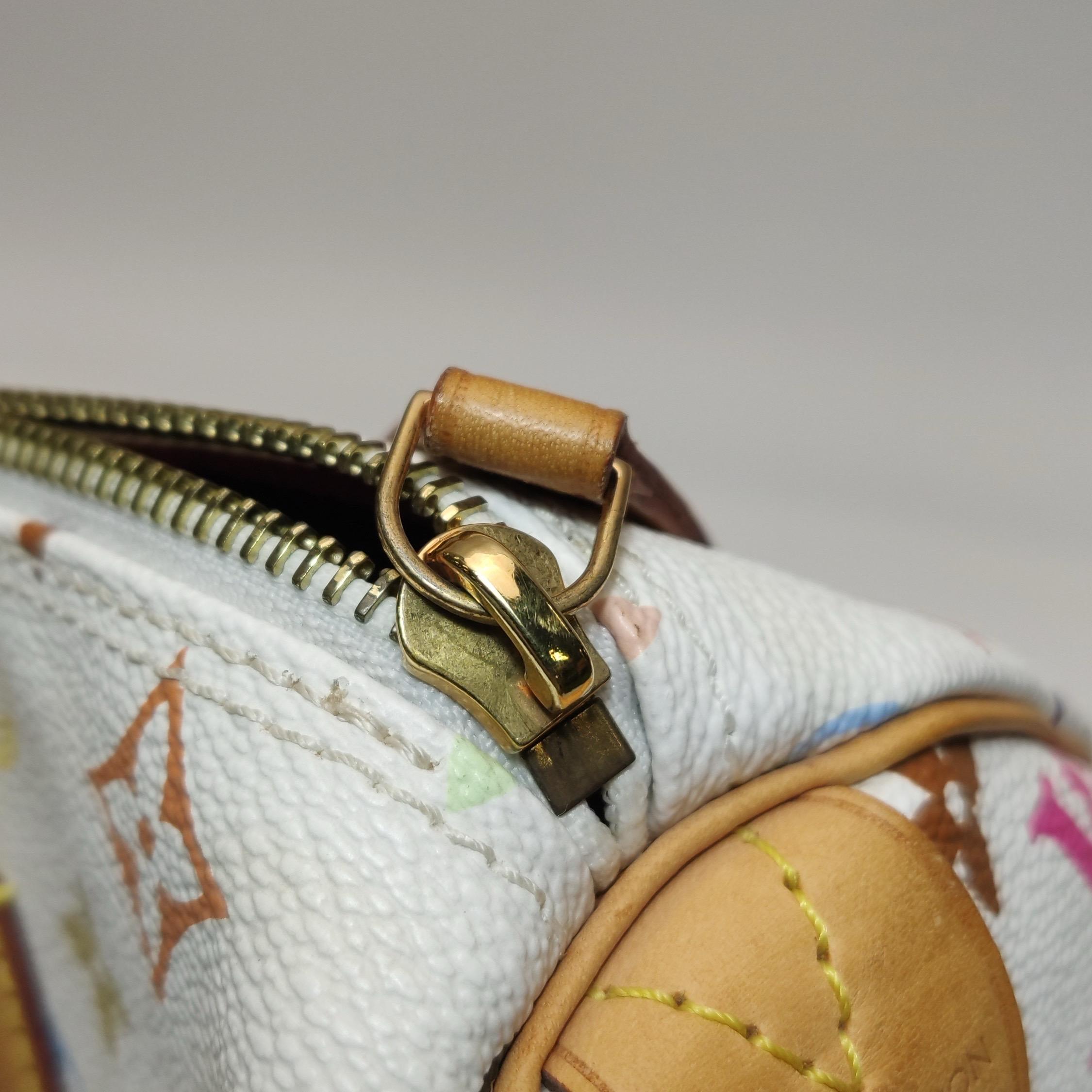 Louis Vuitton x Takashi Murakami Speedy 30 Lock Blanco Multicolor 9