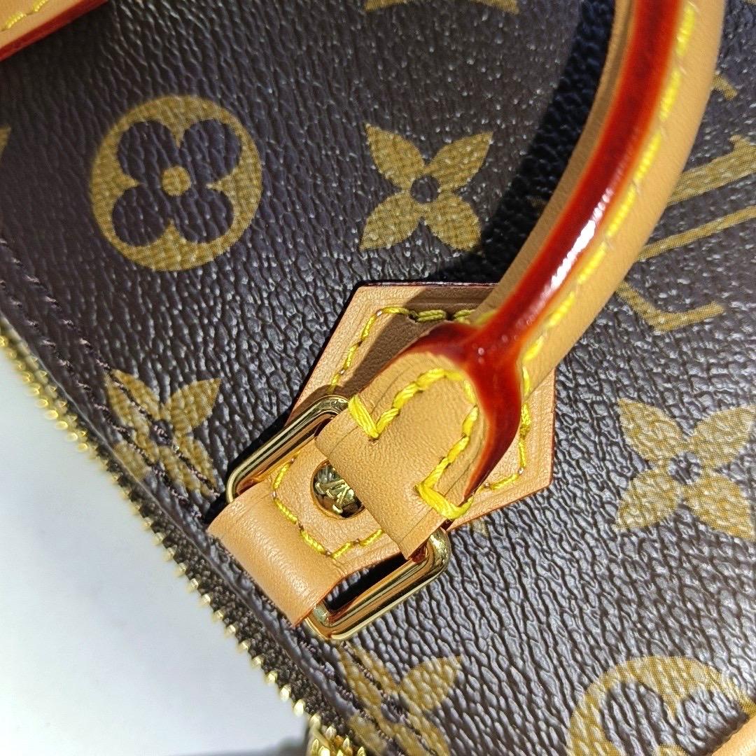 Louis Vuitton x Takashi Murakami Speedy Nano Monogram mit Blume Crossbody Bag im Angebot 1