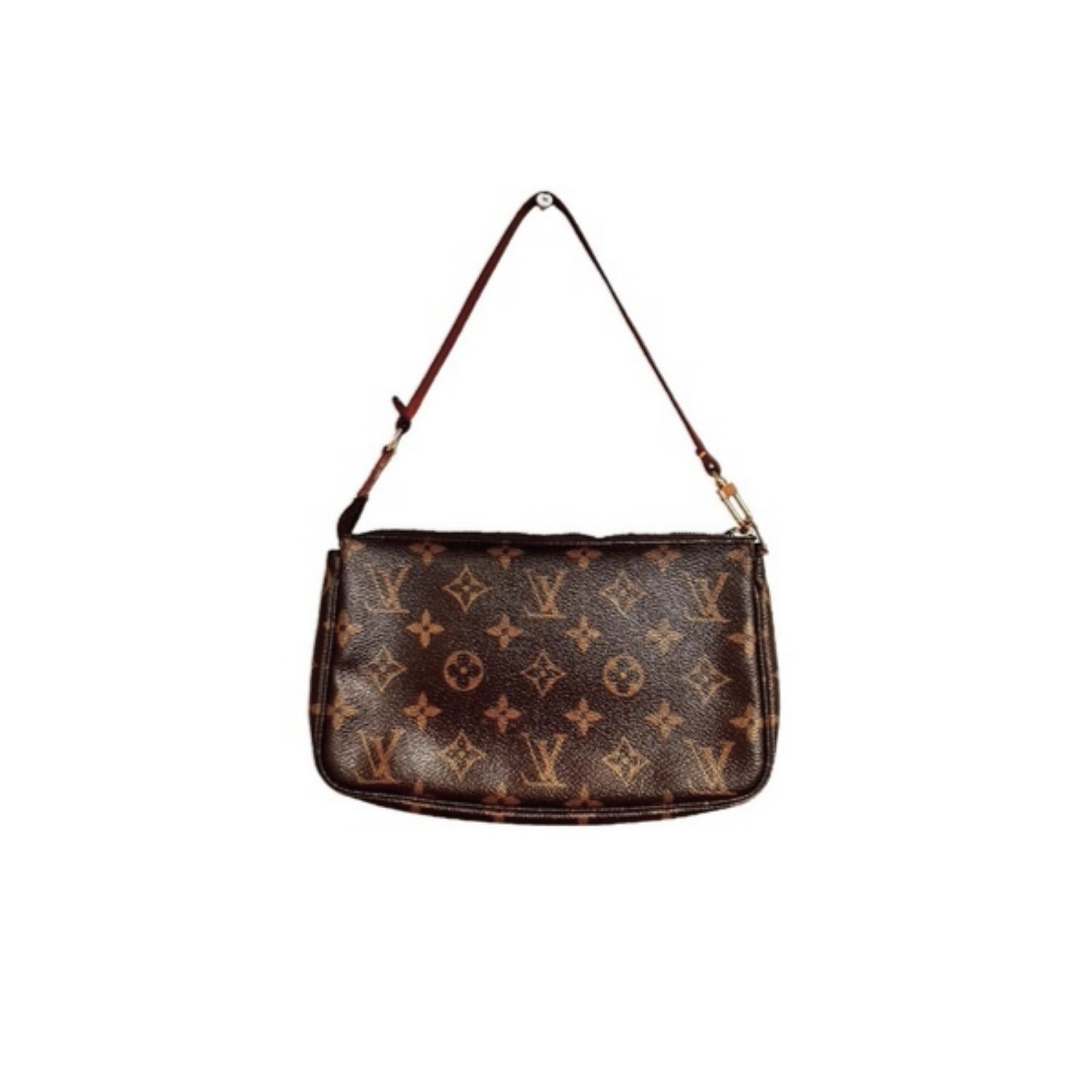 Louis Vuitton Y2K Monogram Pochette Zubehör (Braun) im Angebot