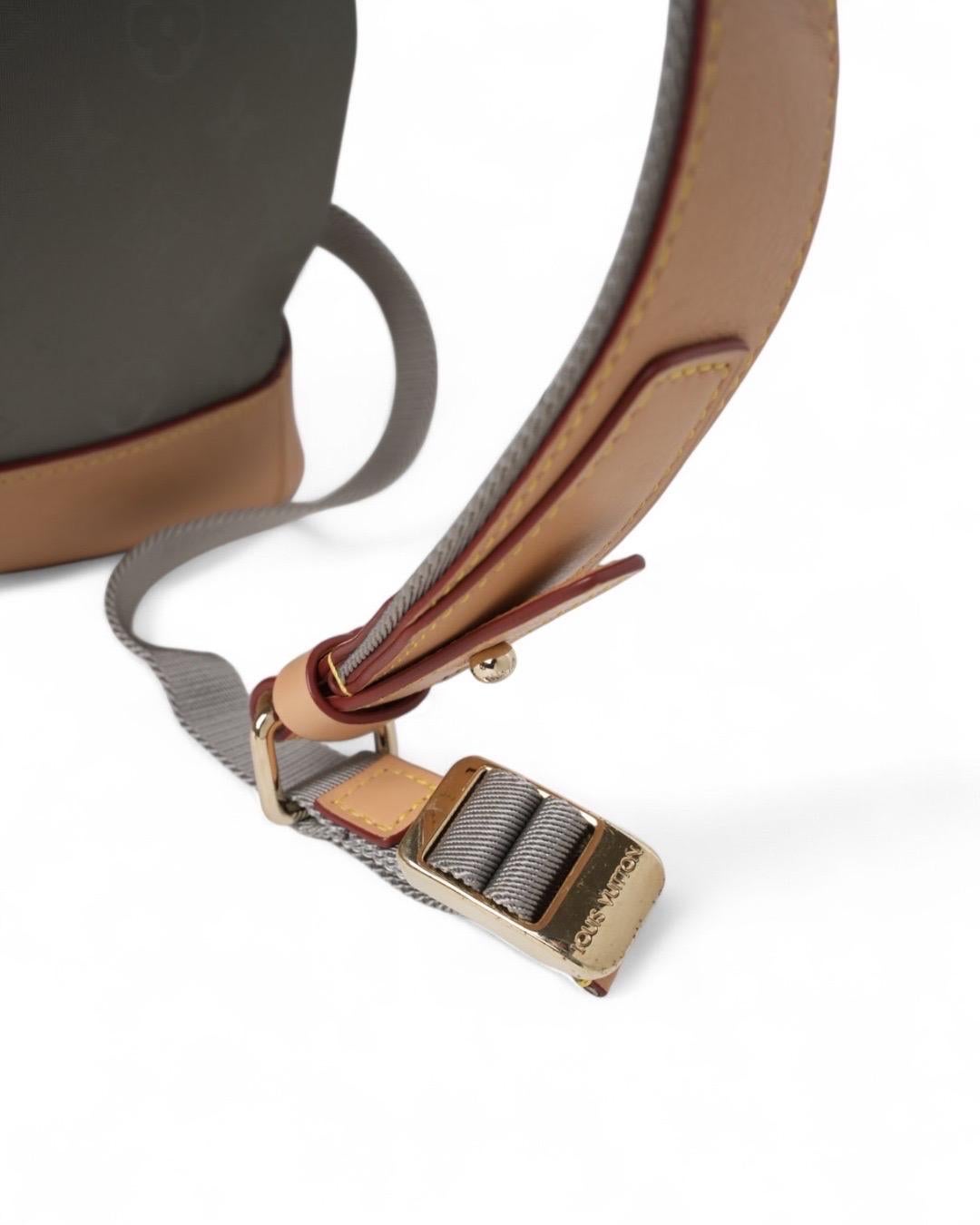 Louis Vuitton Zaino Tote GM Monogram Titanium For Sale 12