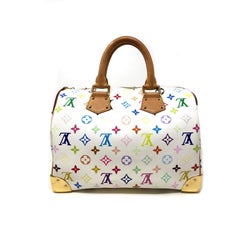 LOUIS VUITTON:Speedy Multicolor