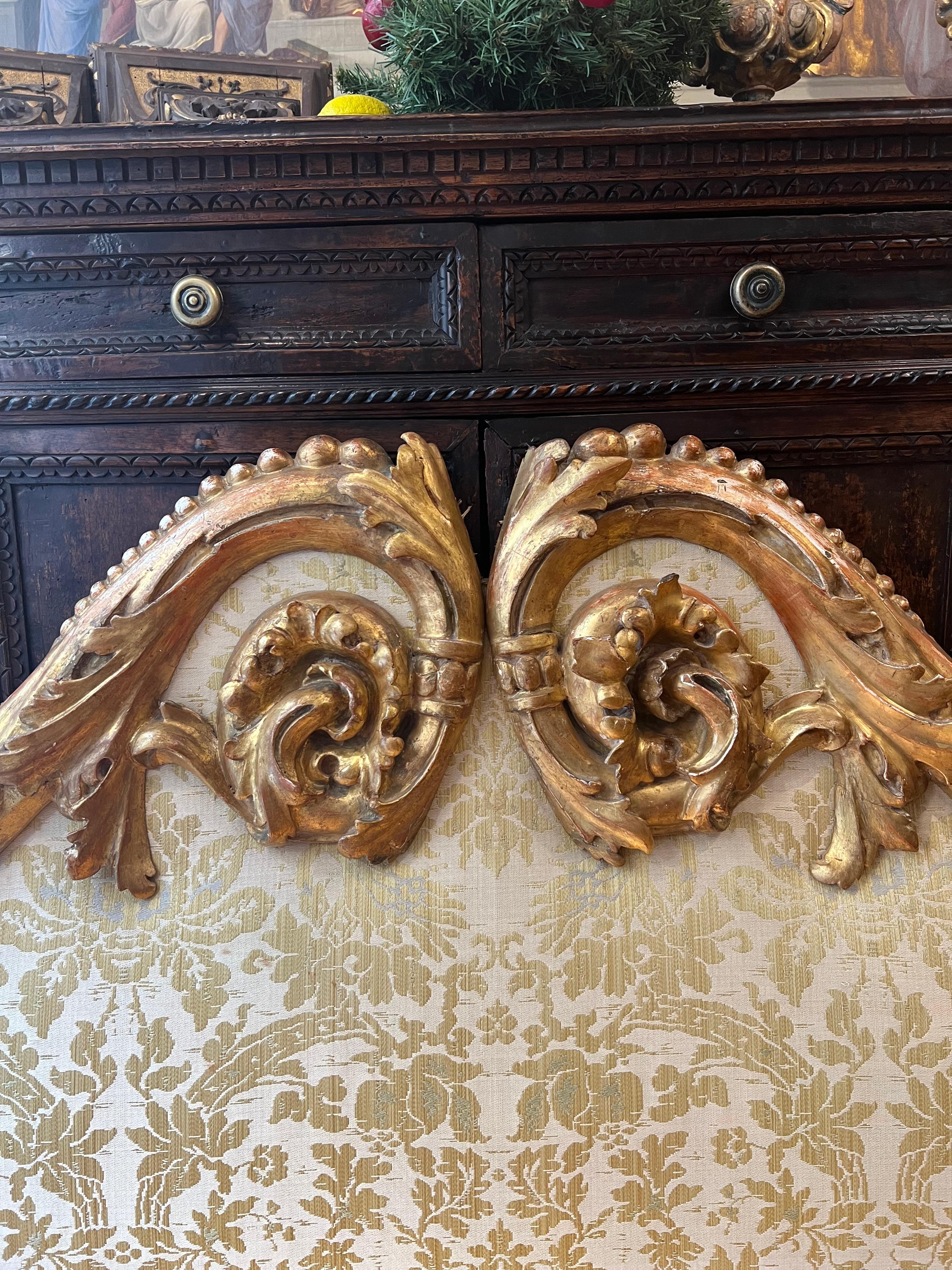 Louis XIV Headboard in Carved and Giltwood 4