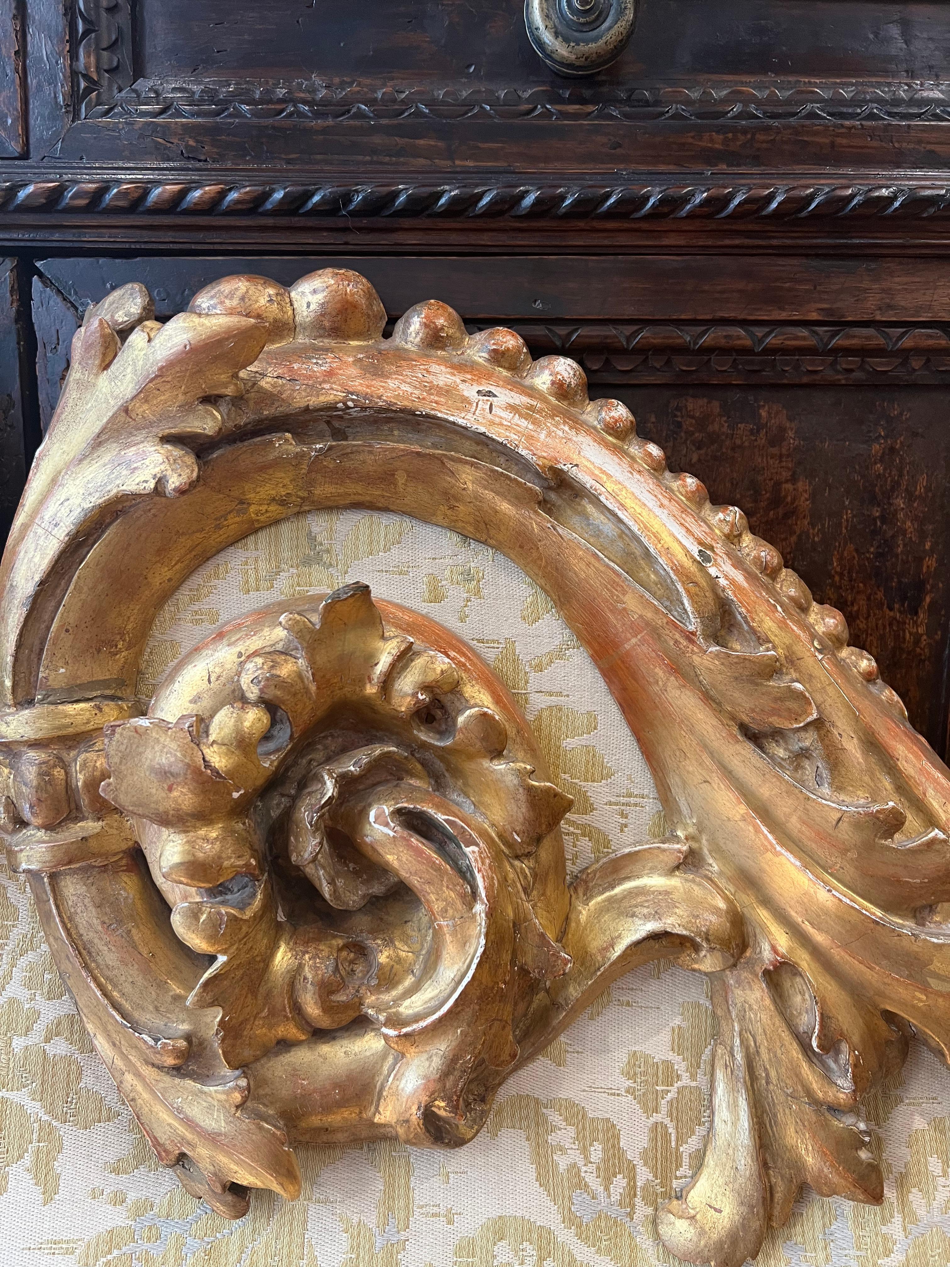 Louis XIV Headboard in Carved and Giltwood 3
