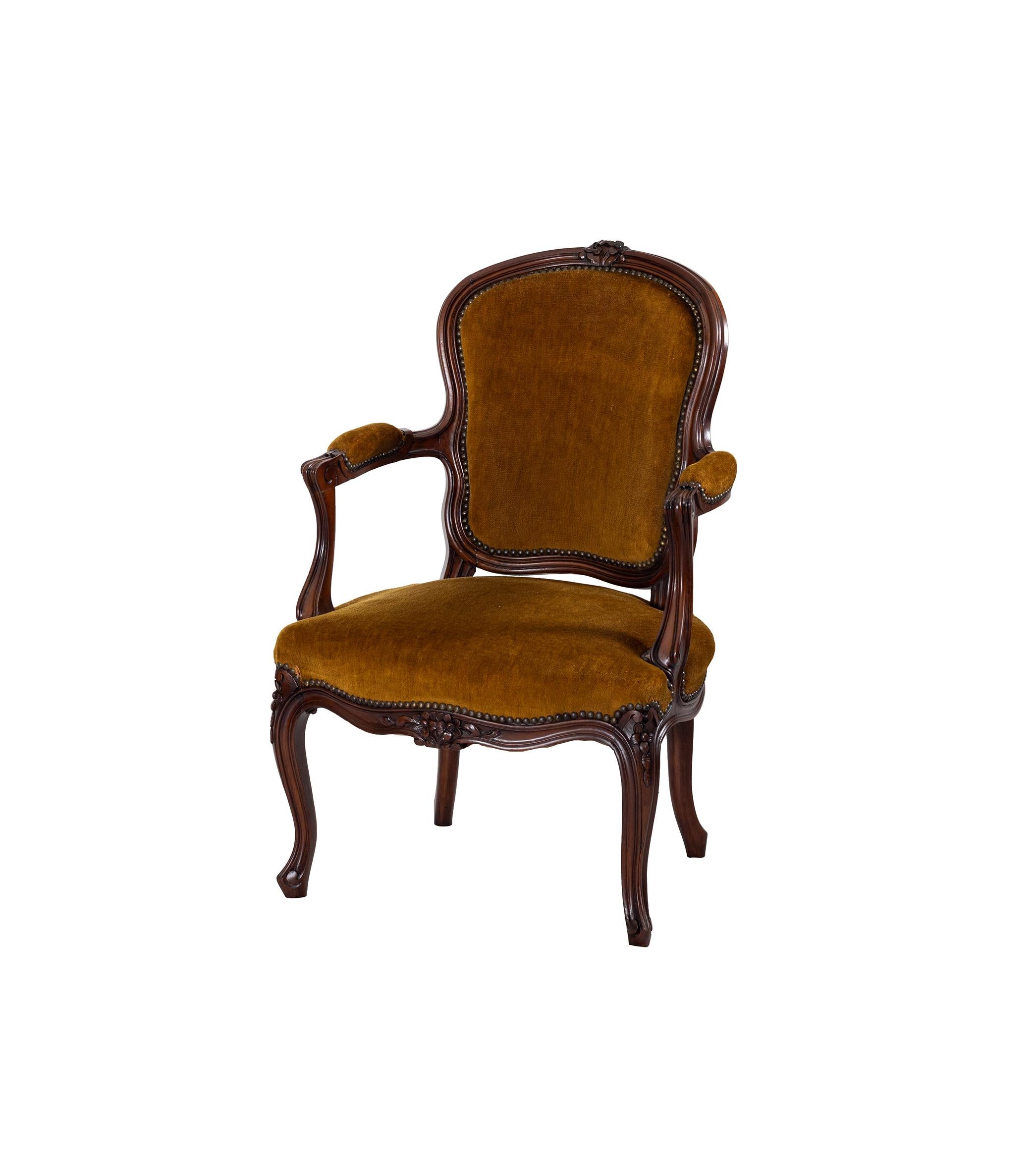 A pair of armchairs in fine Cuban mahogany wood, centred cut curls and floral carving, framed backrest, padded armrests supported in curved colueta, brown cushioned seat and backrest, wavy skirt supported on long legs finished with voluted feet.