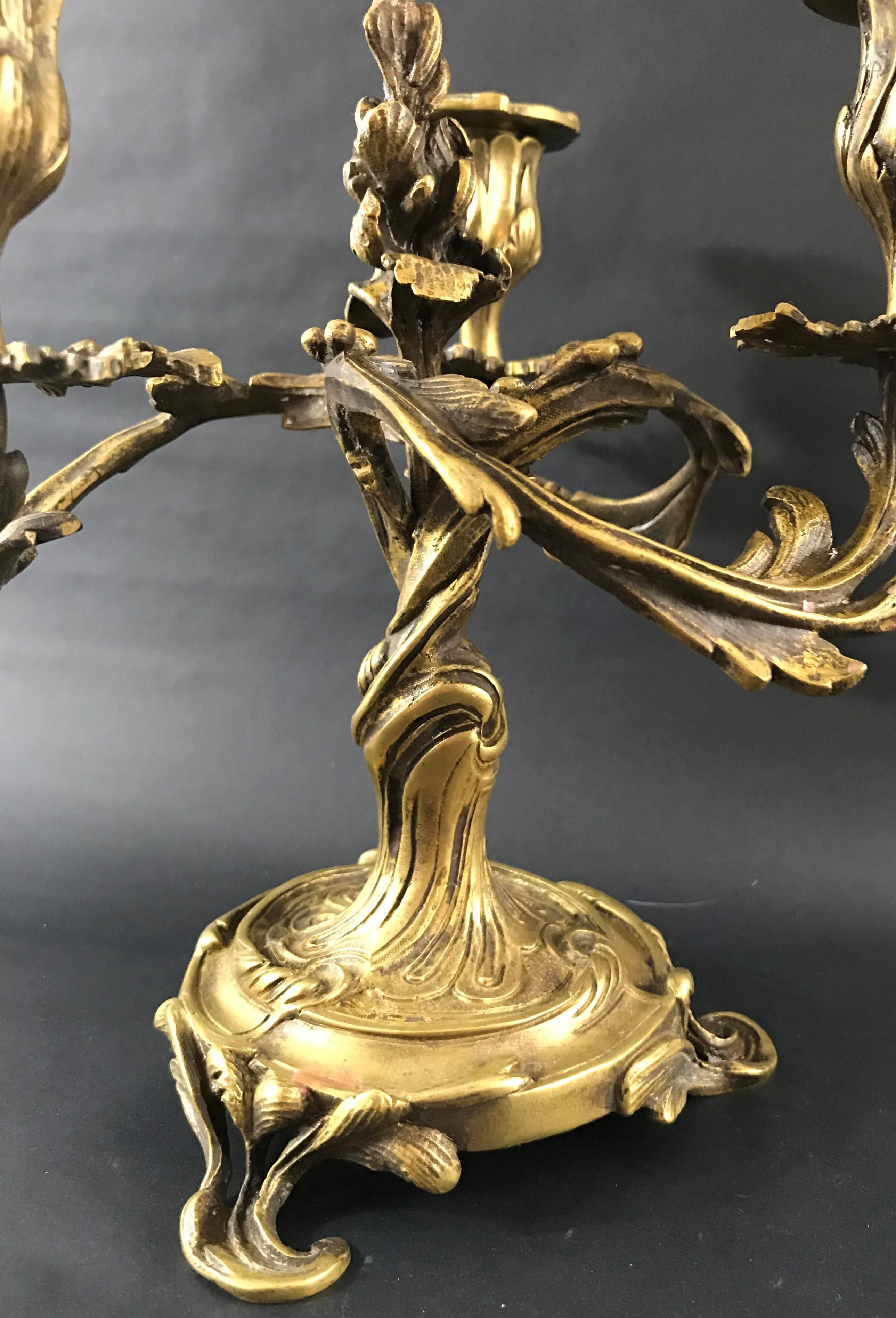 Gilt Louis XV Candelabra in Gilded Bronze