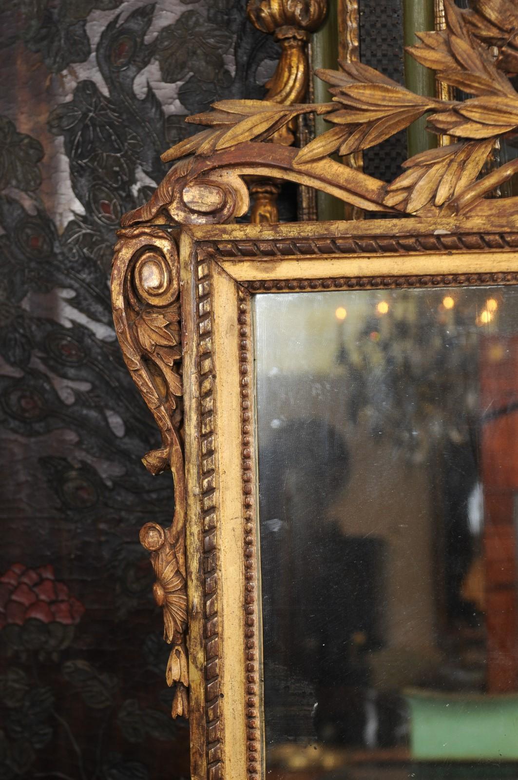 Louis XV Carved Giltwood Mirror, Mid-18th Century 1