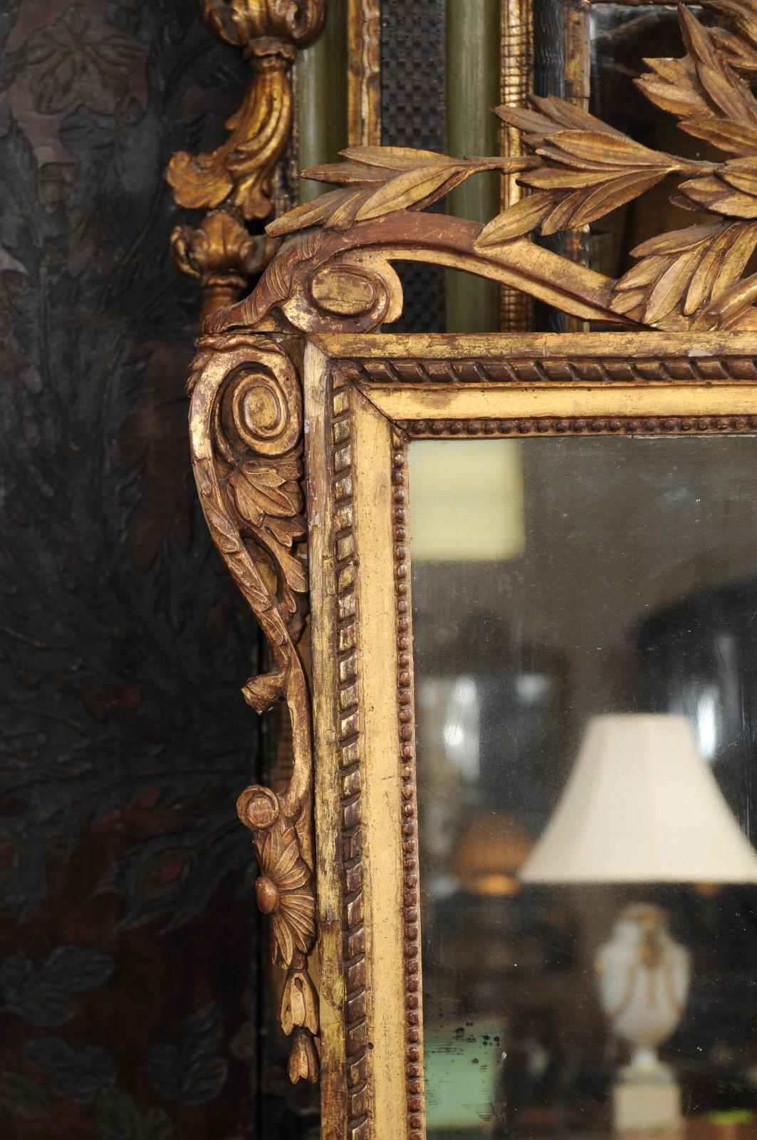 Louis XV Carved Giltwood Mirror, Mid-18th Century 2