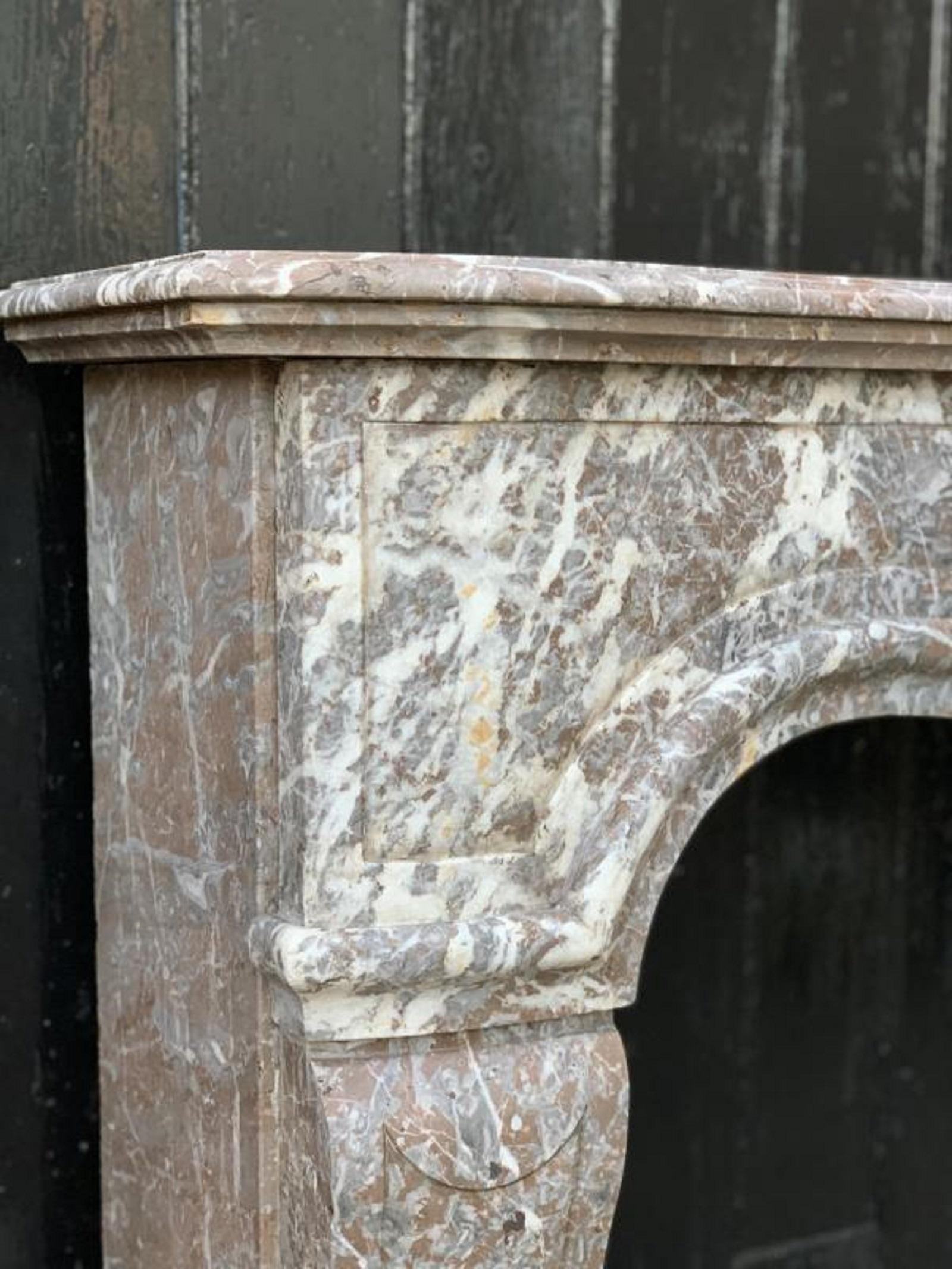 Louis XV Fireplace in Gray Ardennes Marble, 18th Century 6