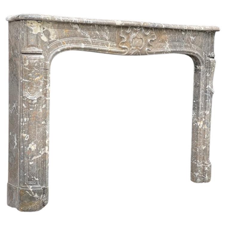 Louis XV Fireplace in Grey Ardennes Marble Late Eighteenth Century