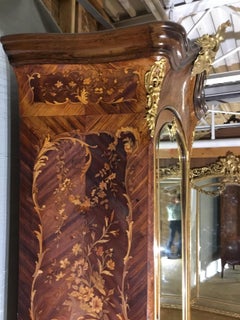Louis XV Gilt Bronze Mounted Armoire in Kingwood