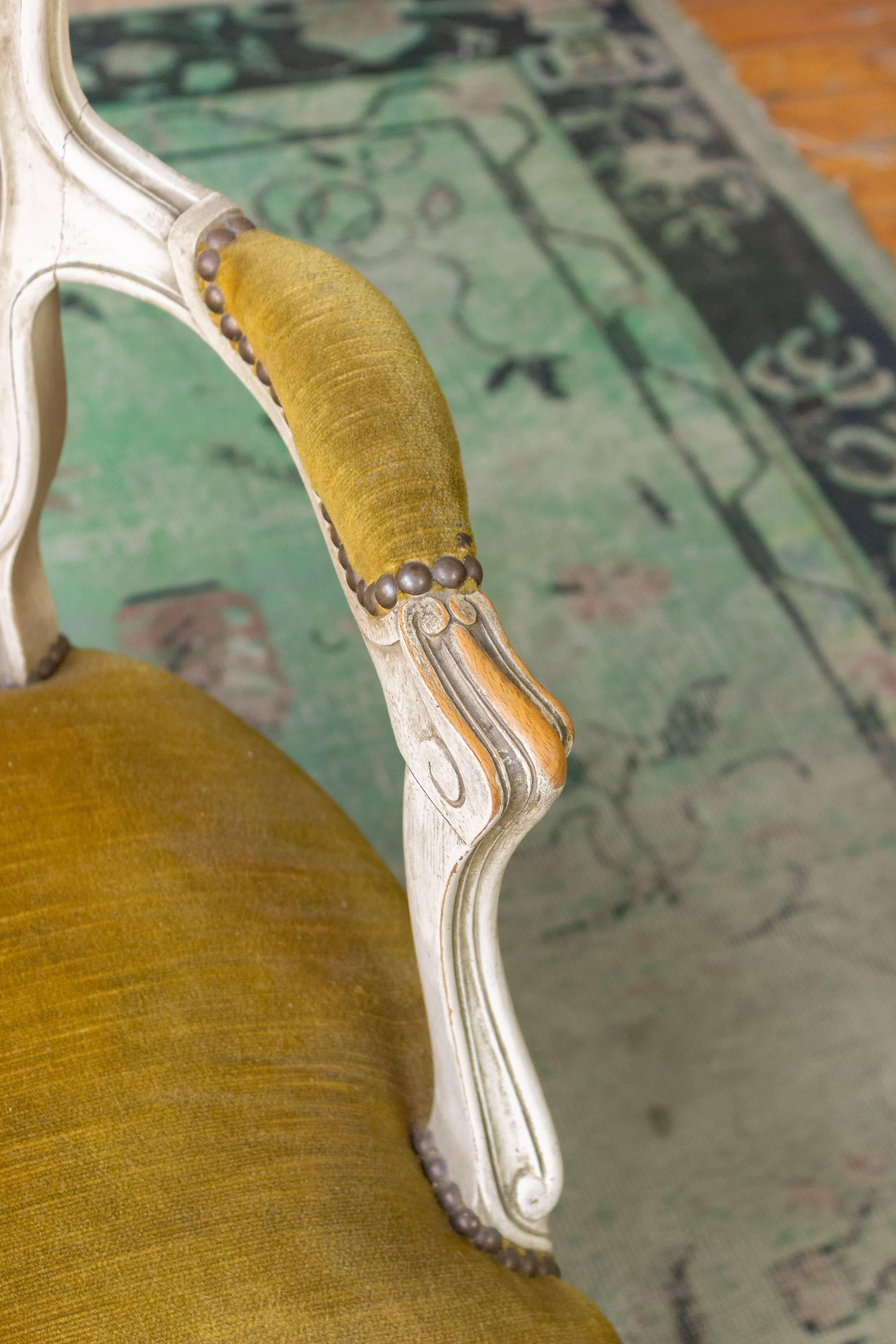 French Louis XV Style Armchair in Gold Velvet