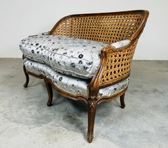Louis XV Style Blue Velvet & Satin French Walnut Cane Back Settee 1950s