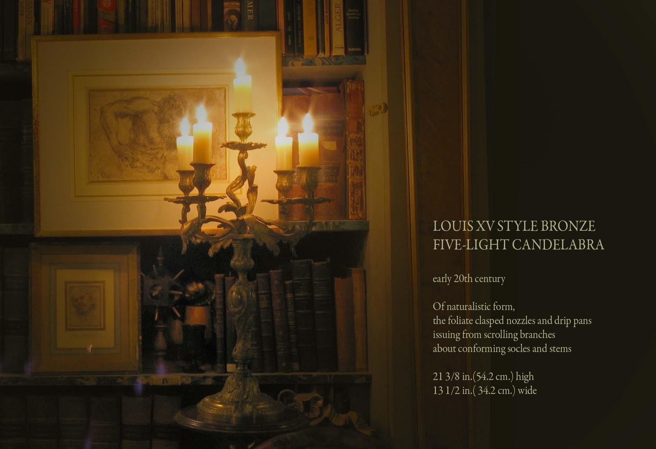 Louis XV Style Bronze Five-Light Candelabra For Sale 4
