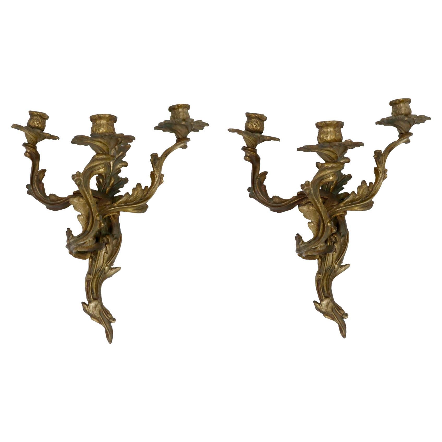 Louis XV Style Bronze Sconces, a Pair