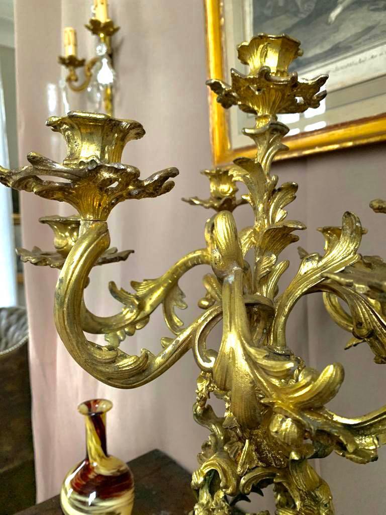 Magnificent candelabra in Louis XV style, rococo from the Napoleon III period. It is a large candelabra with several branches, here seven, in gilt bronze. It is very curved, decorated with foliage and plants, flowers, fruits, leaves (characteristic