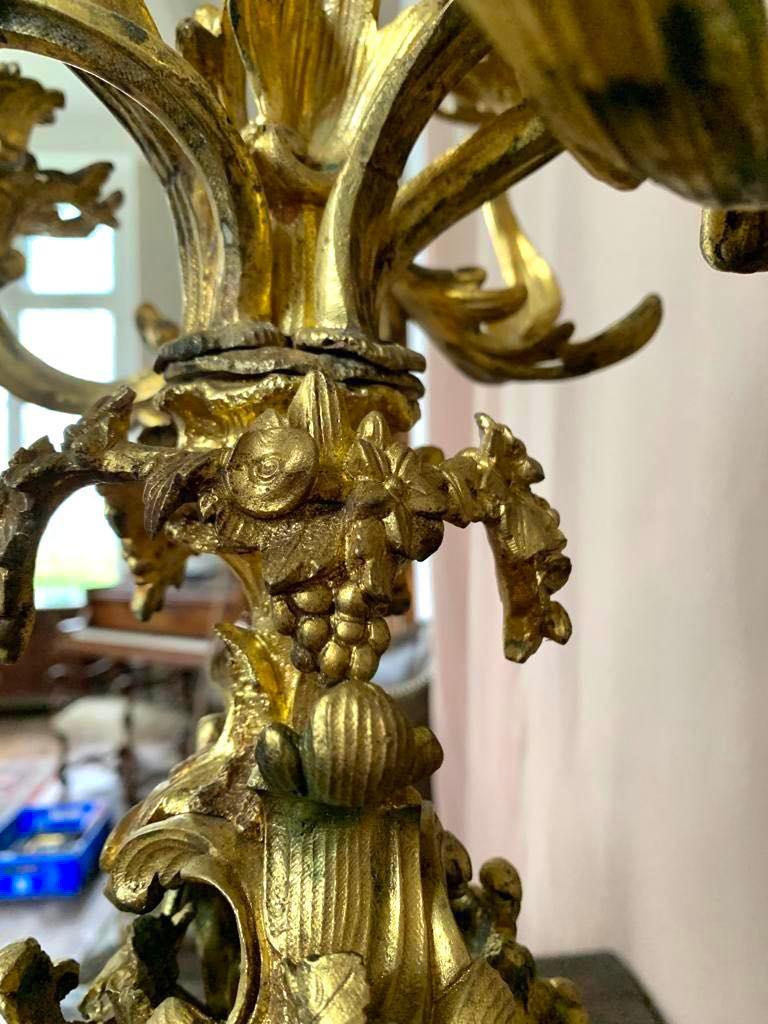 Louis XV Style Candelabra in Guilt Bronze 19th Century For Sale 3