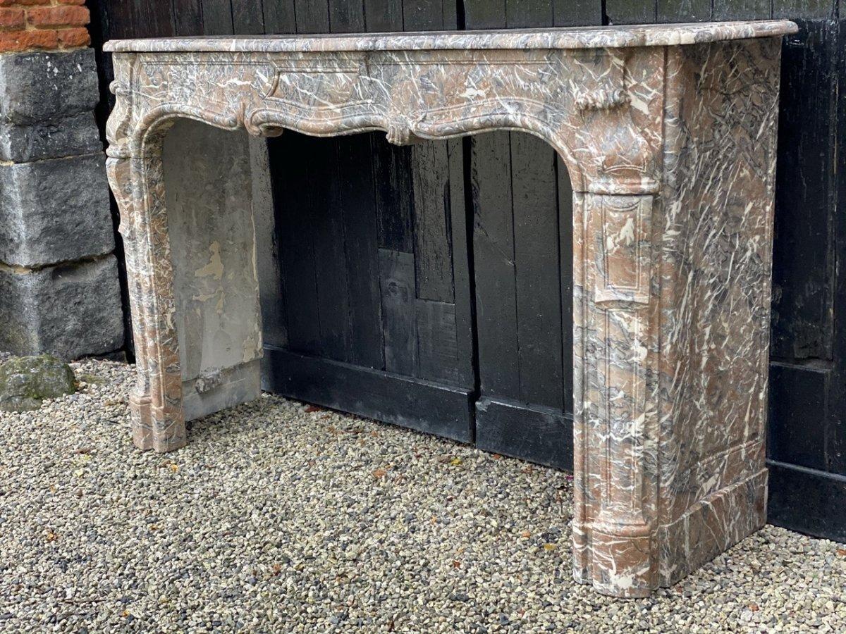 Louis XV Style Fireplace in Gray Ardennes Marble For Sale 6