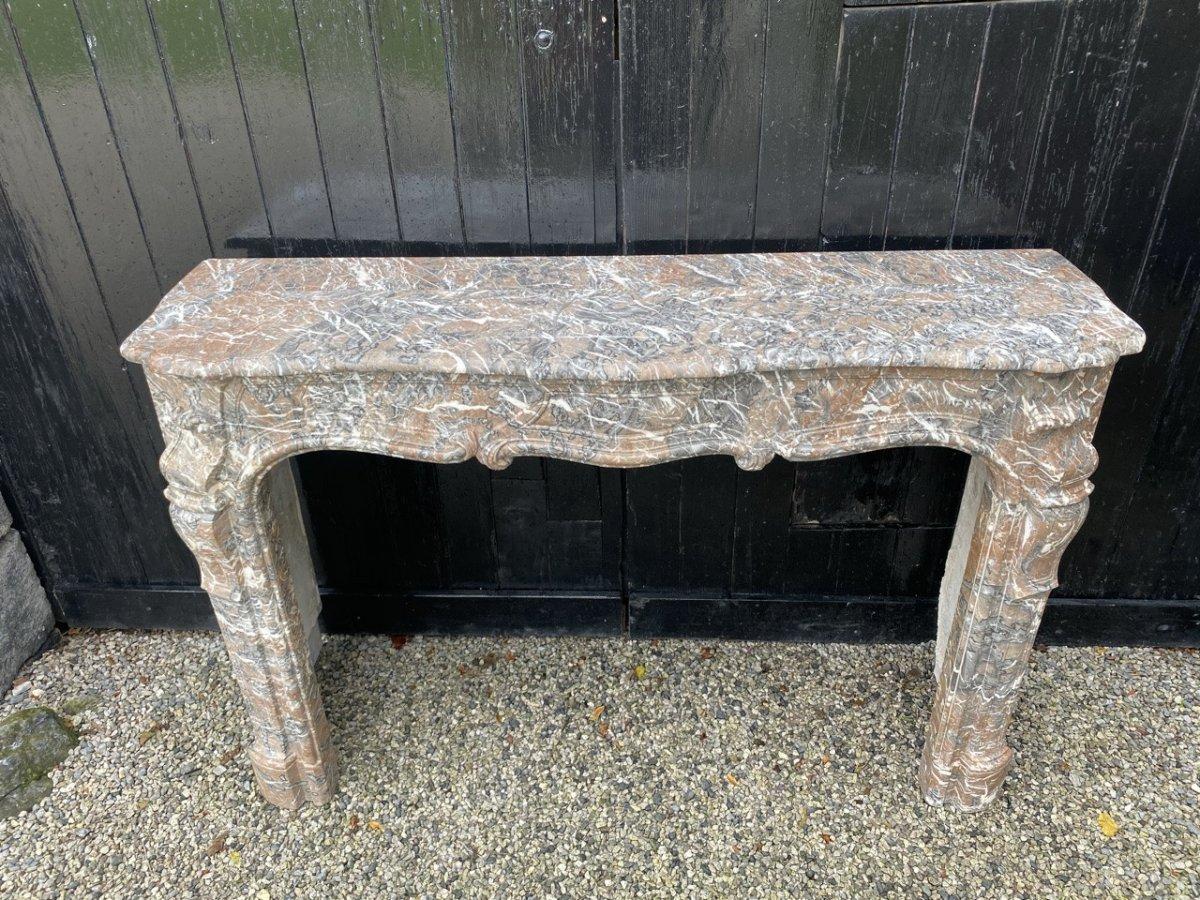 Louis XV Style Fireplace in Gray Ardennes Marble For Sale 4