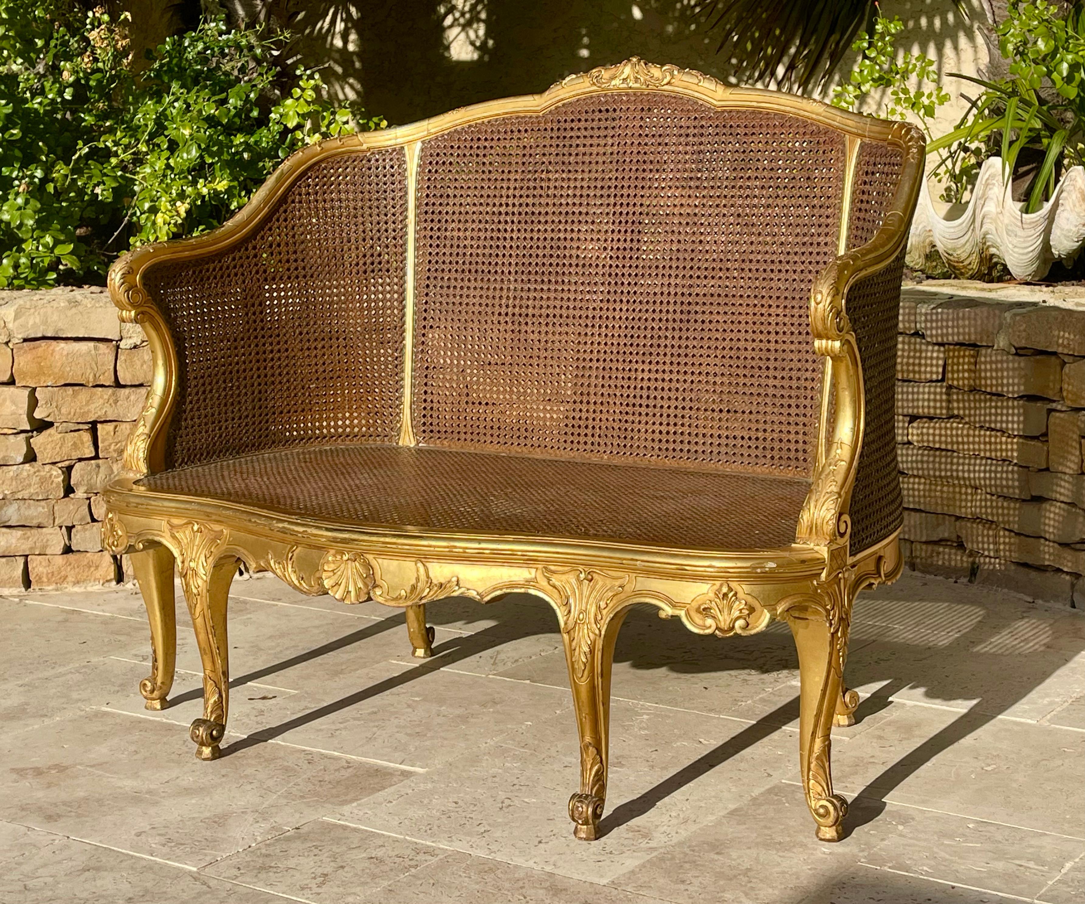 Louis XV style giltwood and cane bench. It is in very good condition. The armrests and backrest are double caned. All the canework is in perfect condition.
 
 Dimensions
 Total height 93cm
 Width 1m12
 Depth 63cm
 Seat Height 35,5cm