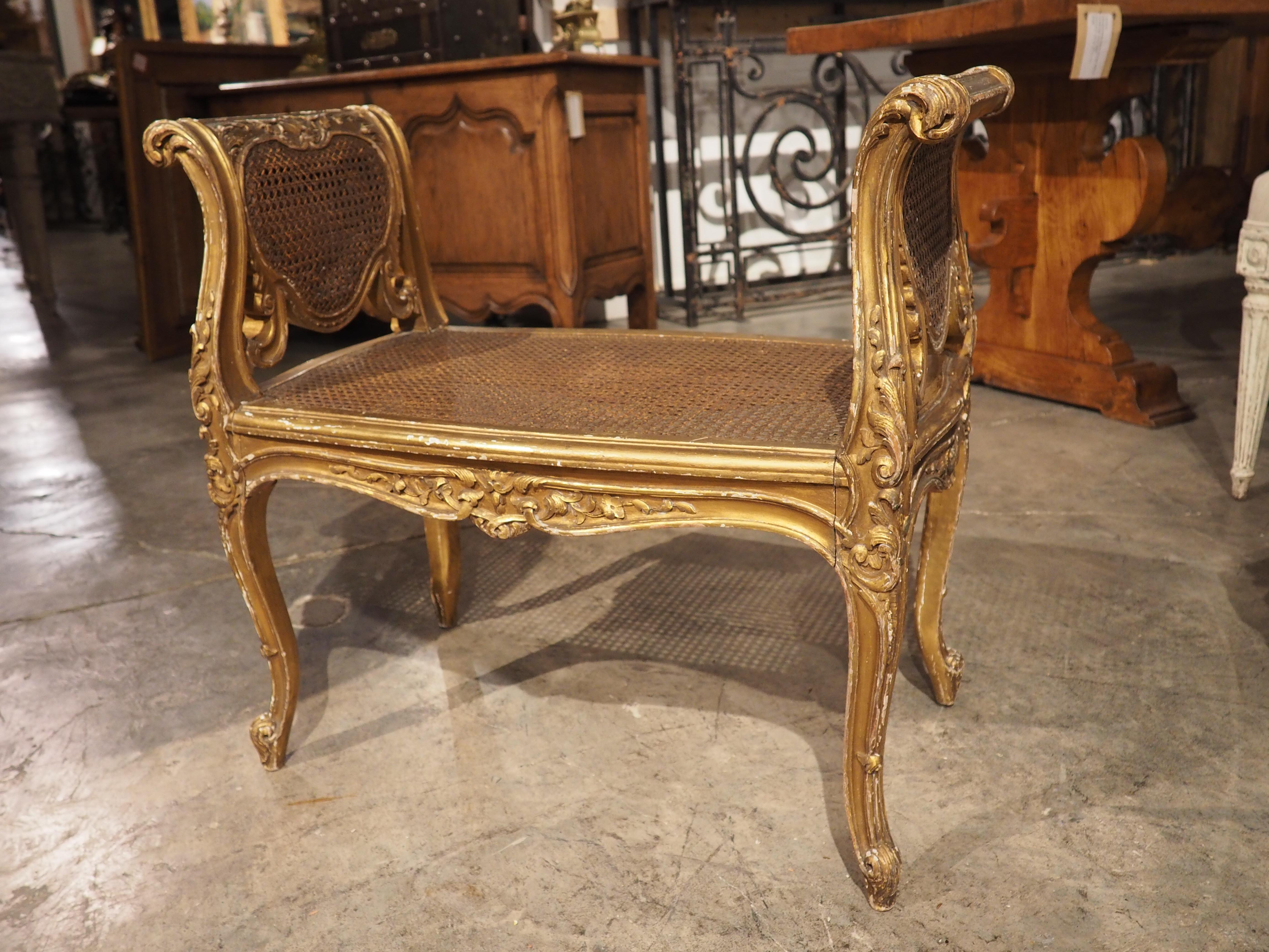 Louis XV Style Giltwood and Caned Banquette from France, circa 1850 3