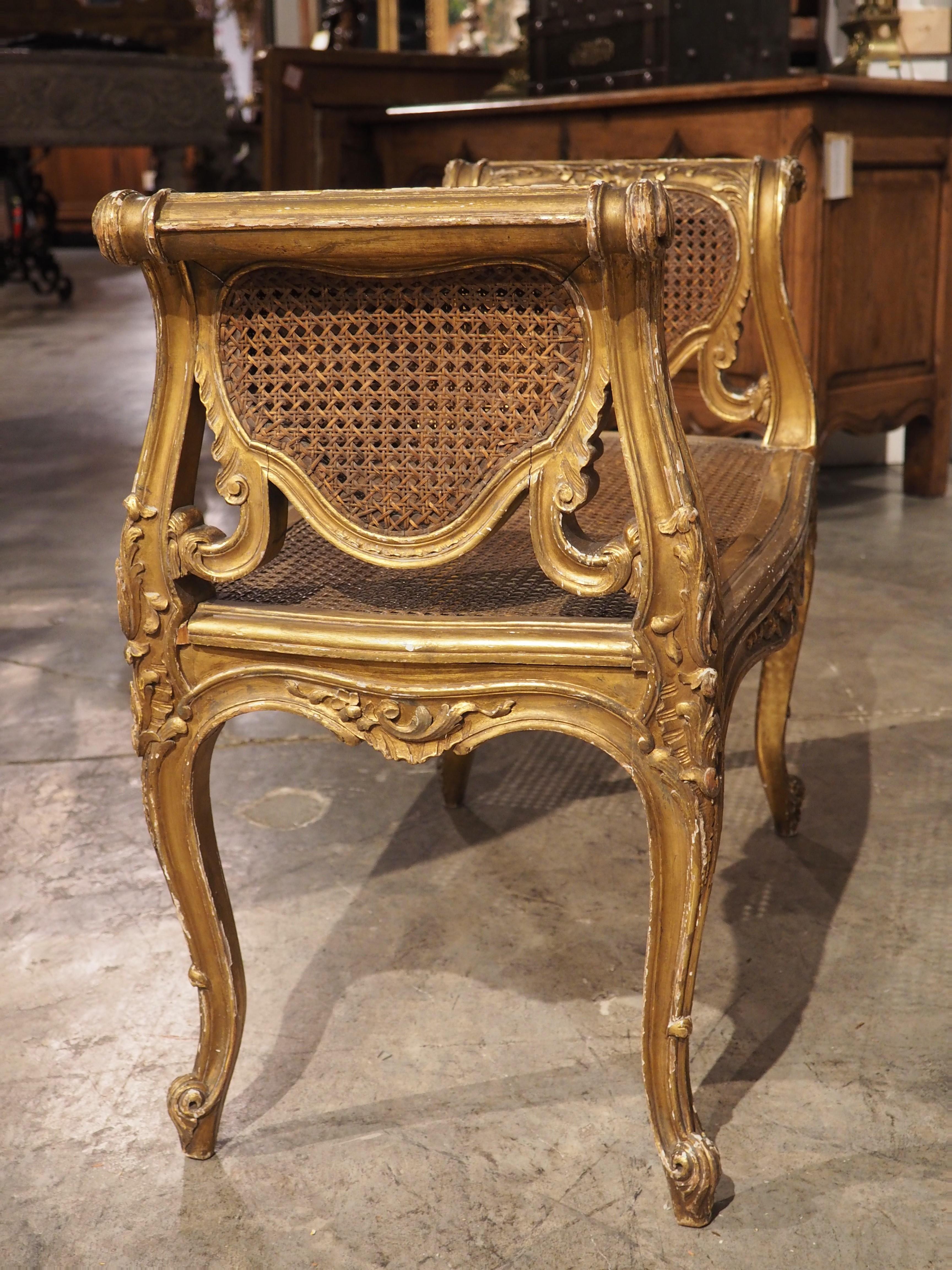 Louis XV Style Giltwood and Caned Banquette from France, circa 1850 5