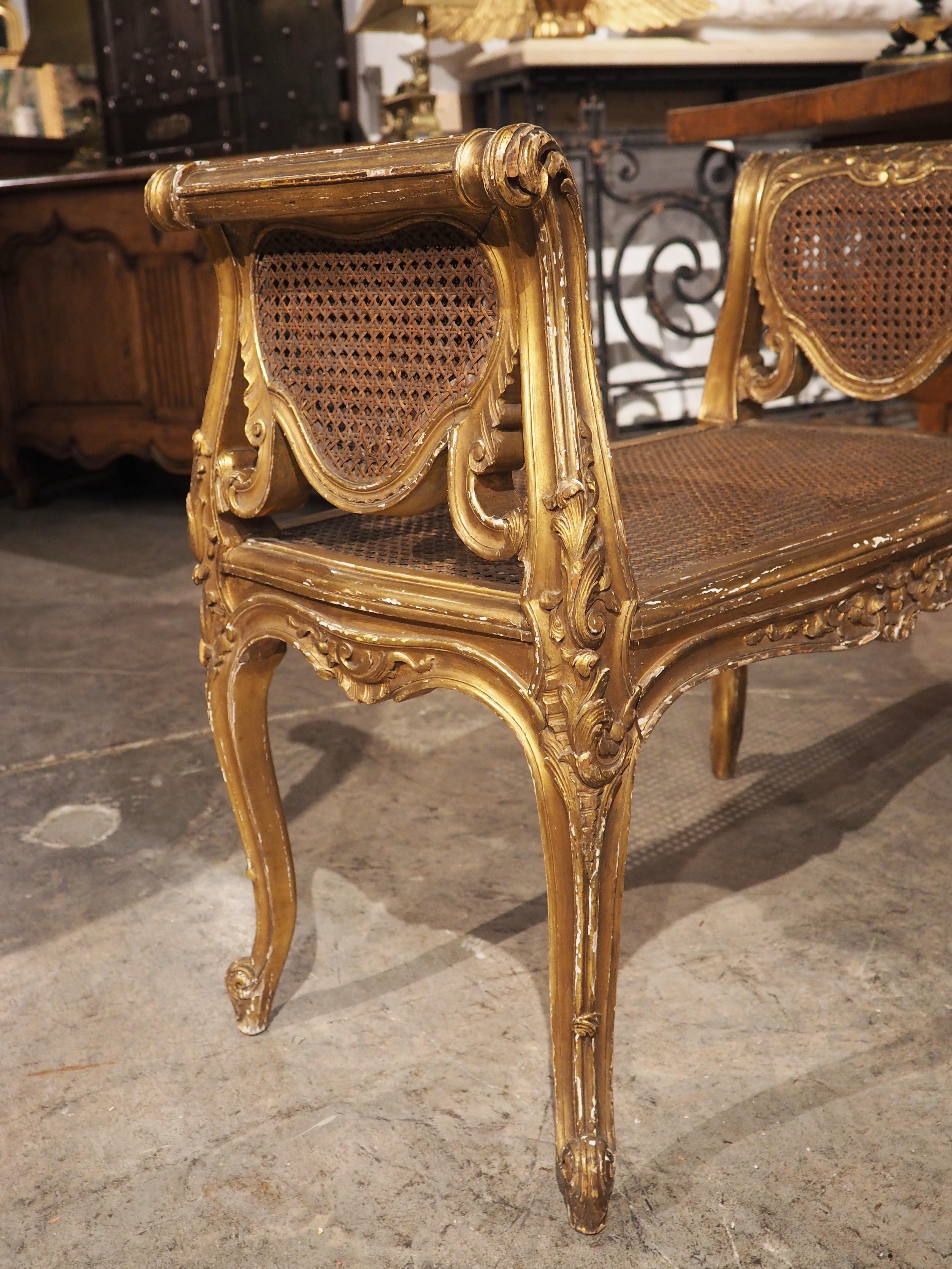 Caning Louis XV Style Giltwood and Caned Banquette from France, circa 1850