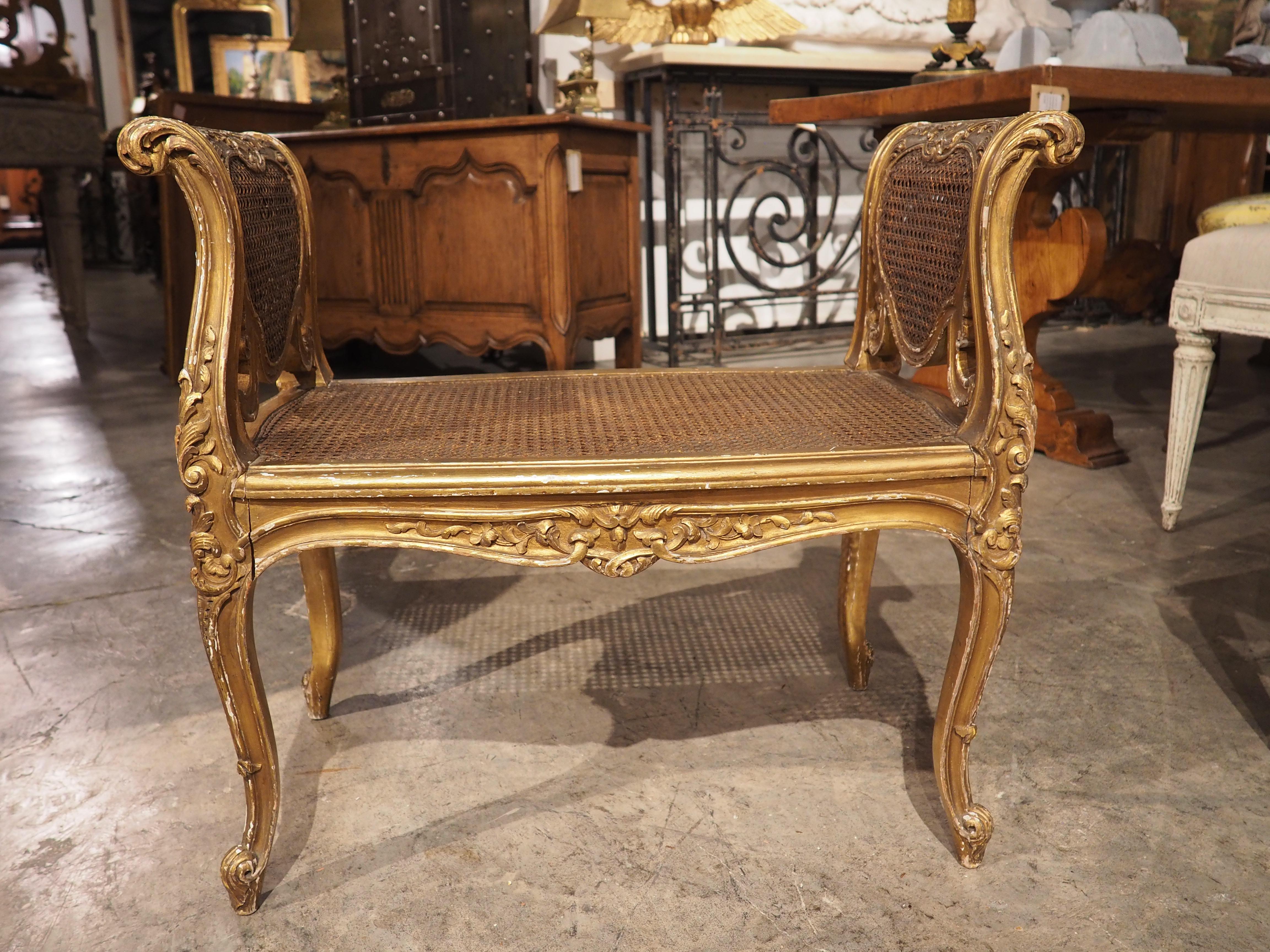 Louis XV Style Giltwood and Caned Banquette from France, circa 1850 In Good Condition In Dallas, TX