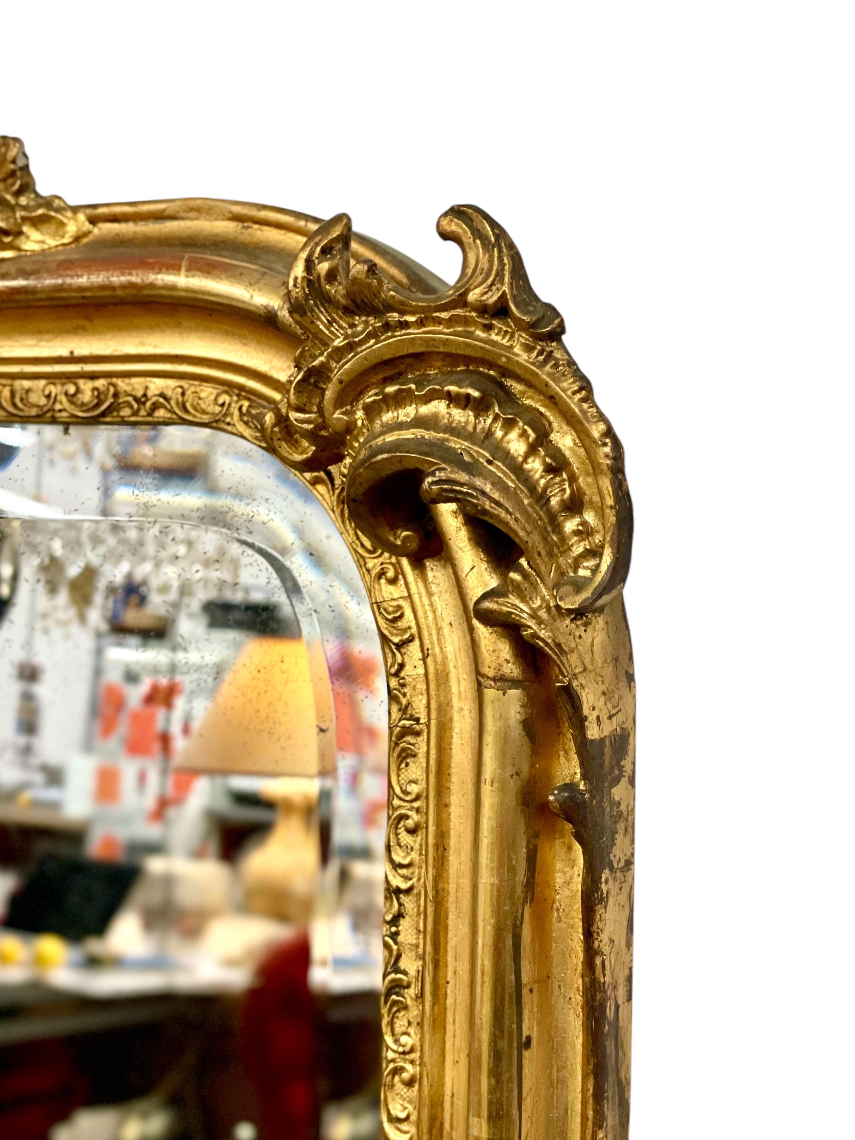 Louis XV Style Giltwood Mirror 19th Century 12