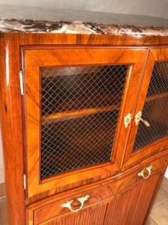 Louis XV Style Library Cabinet, France 19th Century, Walnut