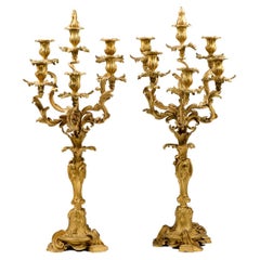 Louis XV Style Pair of Candelabra Ormolu Bronze